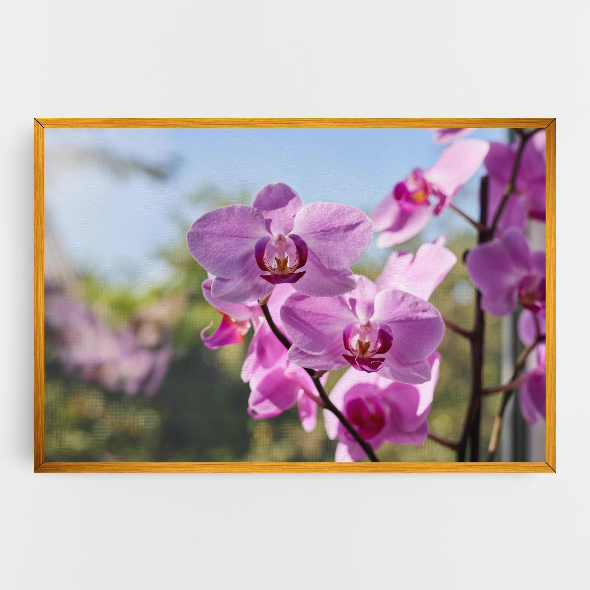 Leinwandbild Orchids In The Garden mockup 0