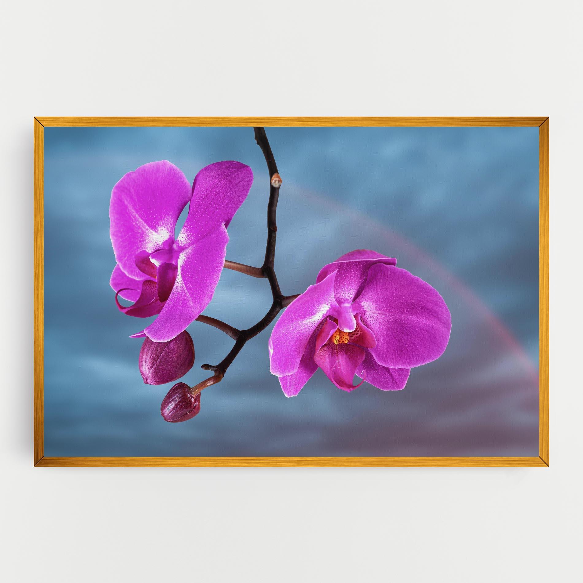 Leinwandbild Sky Purple Orchid mockup 0