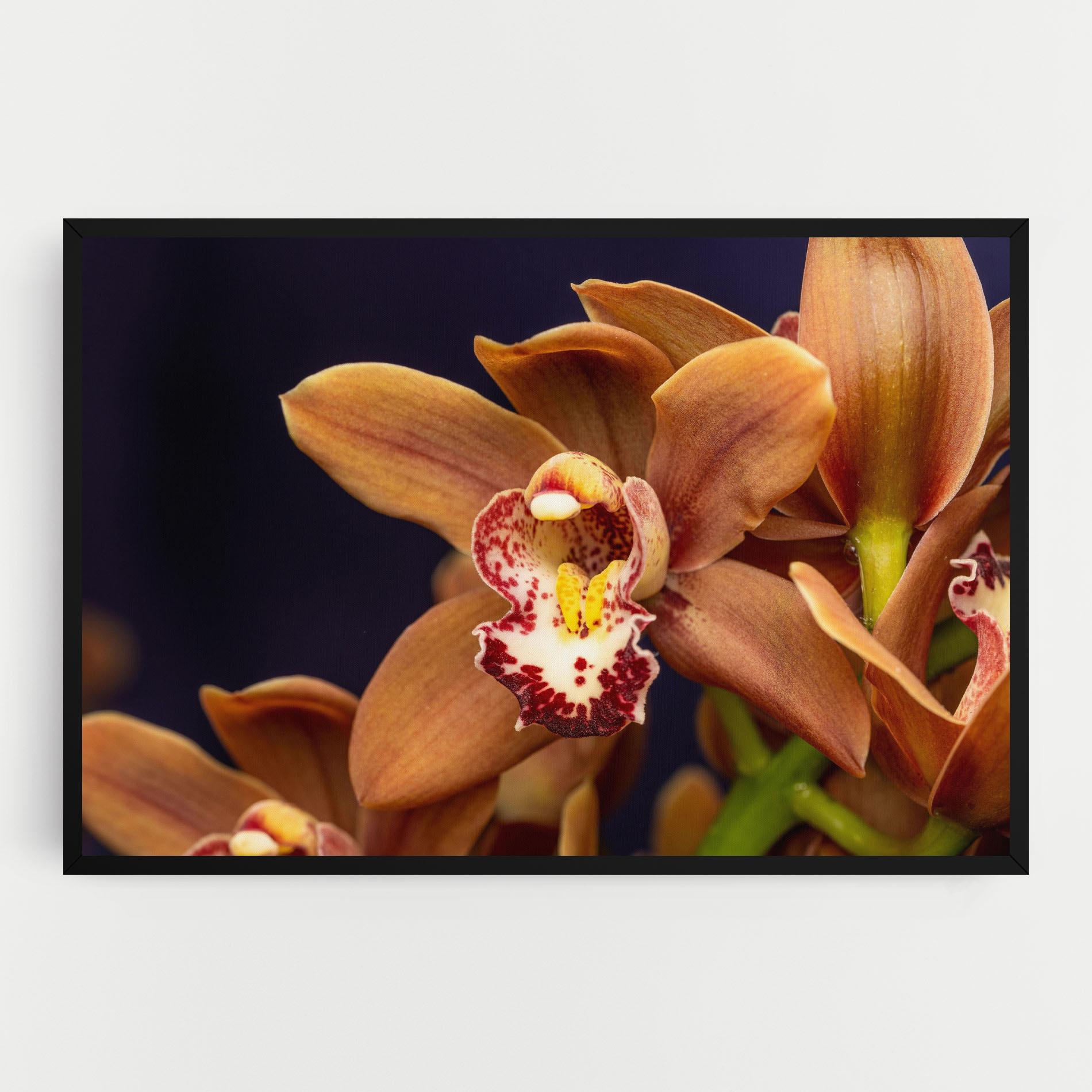 Leinwandbild Dirty Orange Orchid mockup 0