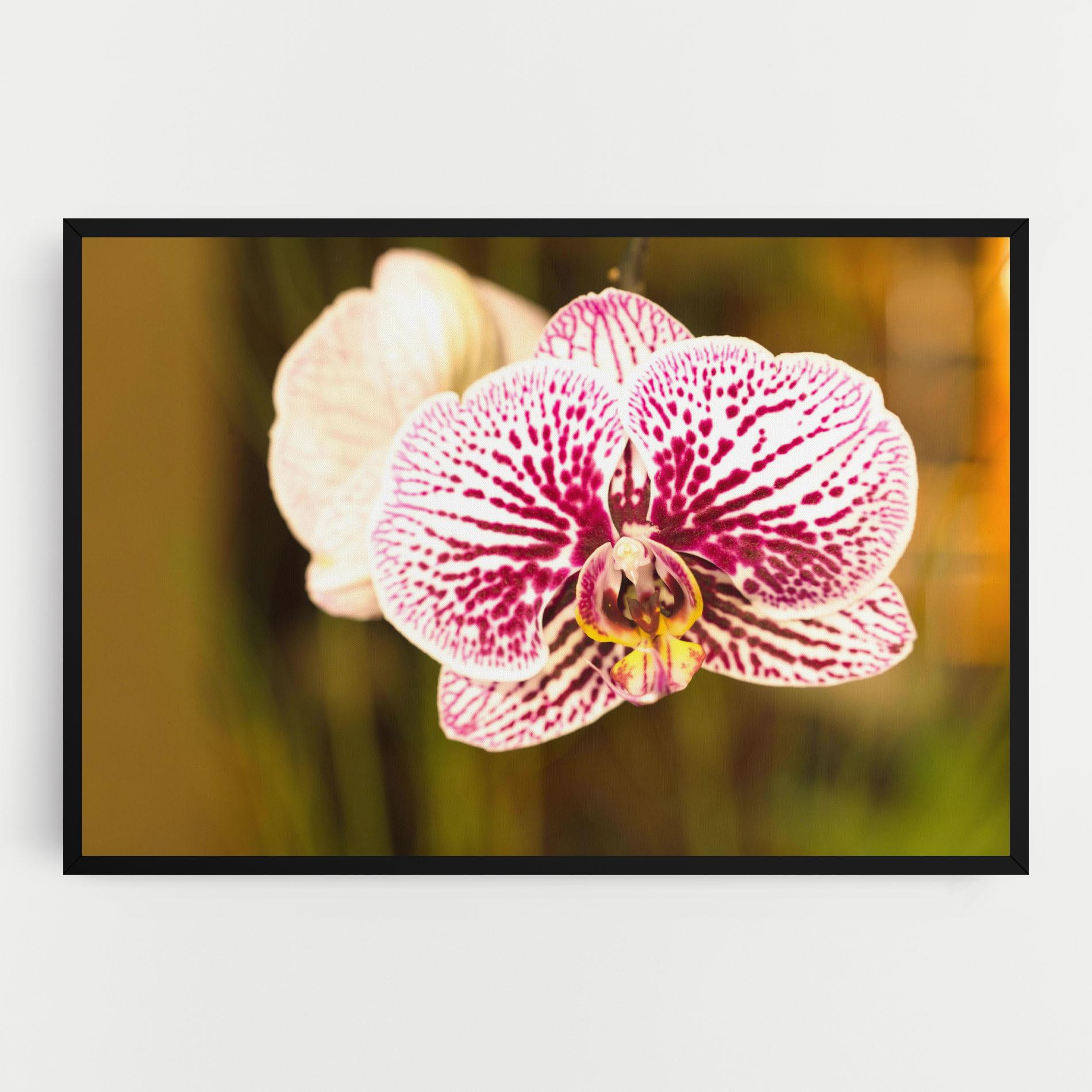 Leinwandbild Garden Orchids mockup 0