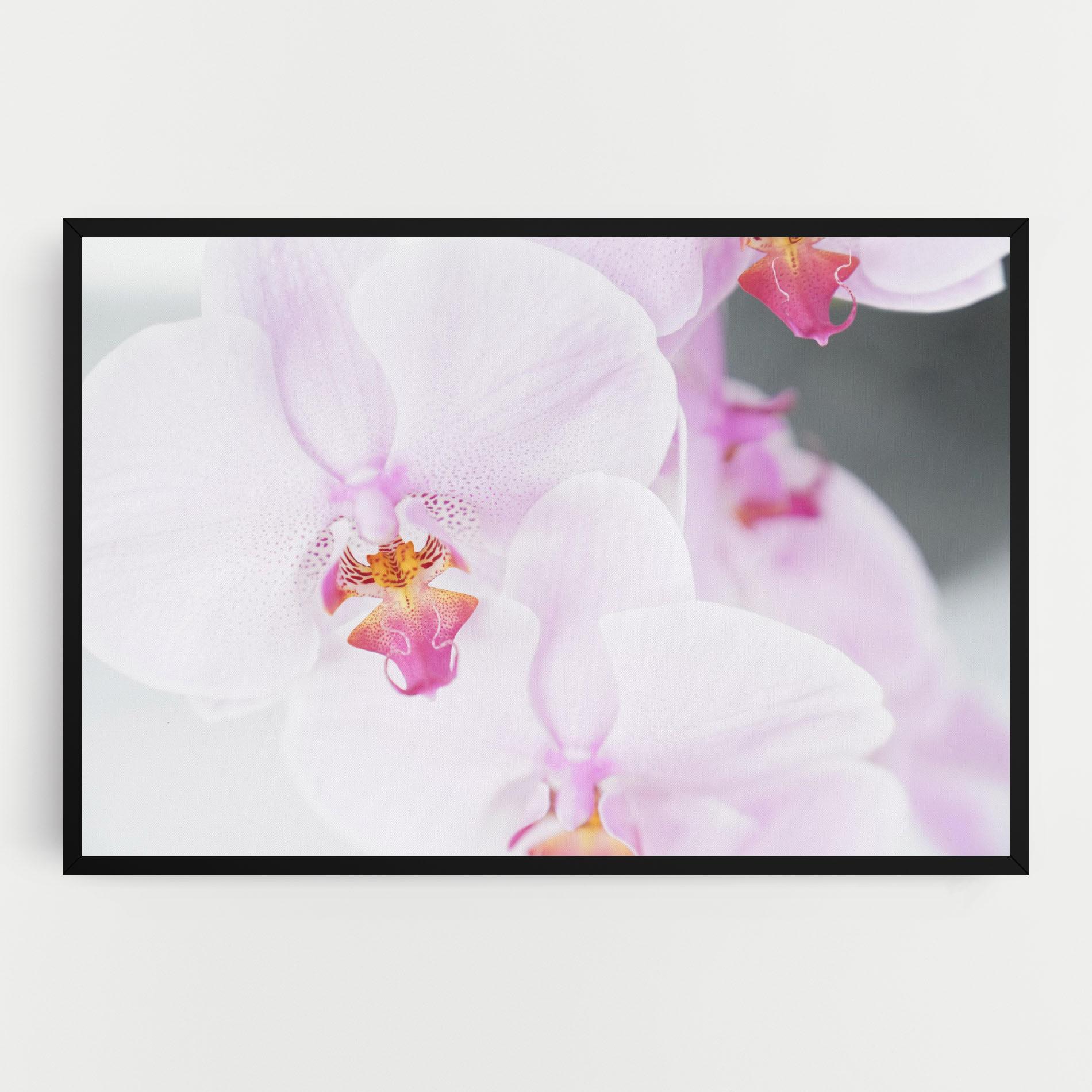 Leinwandbild Light Purple Orchid mockup 0