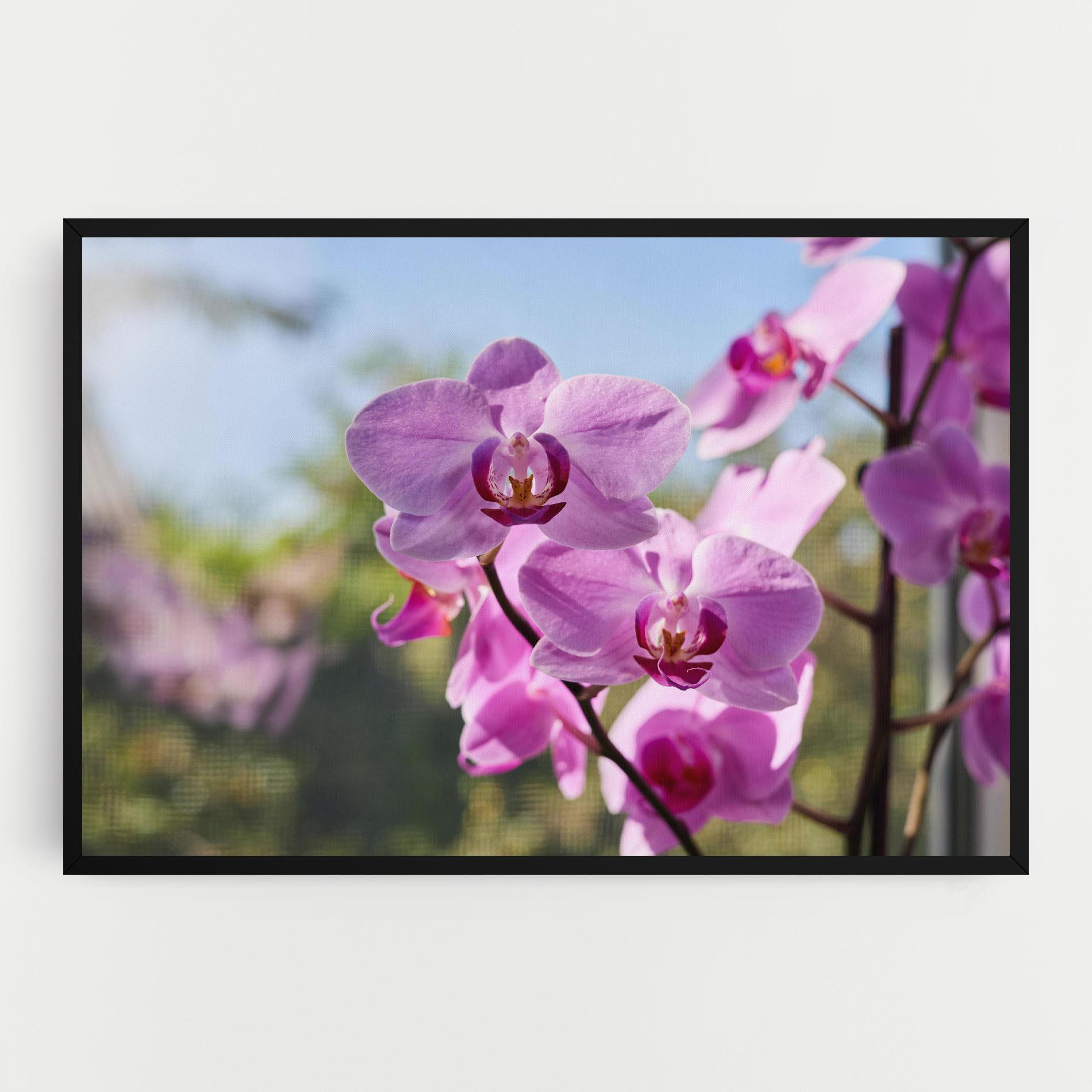 Leinwandbild Orchids In The Garden mockup 0