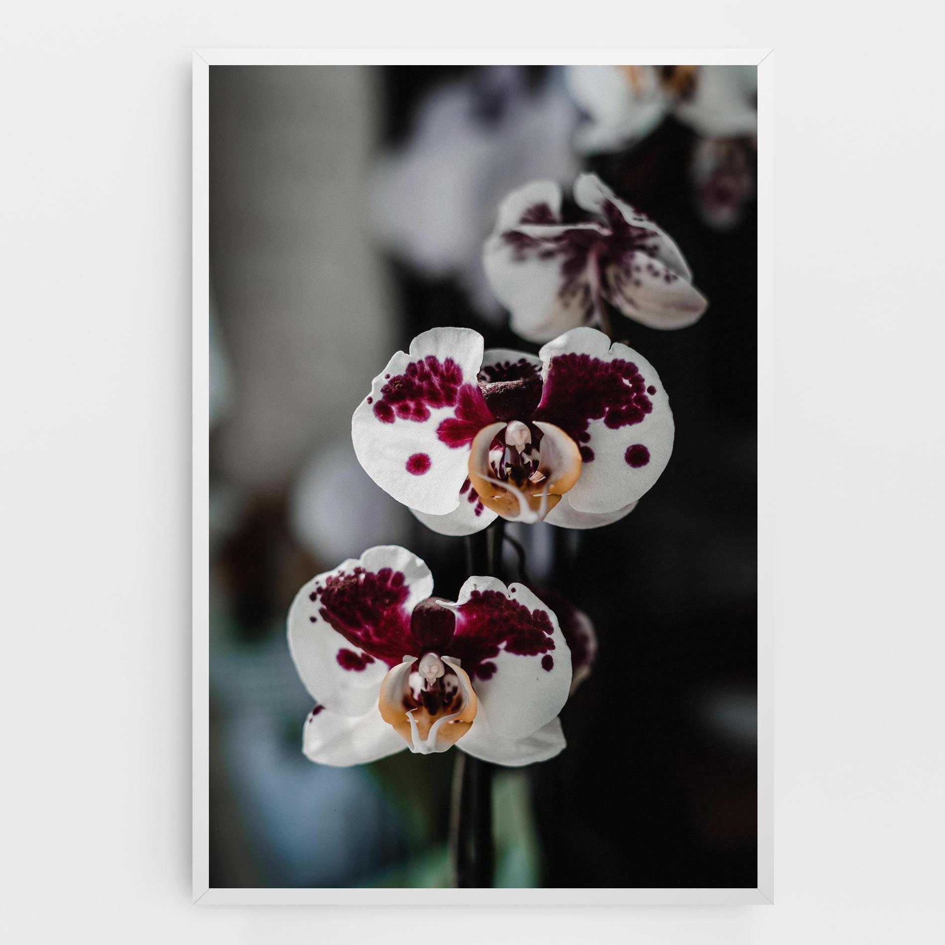Leinwandbild Dark Purple Orchid mockup 0