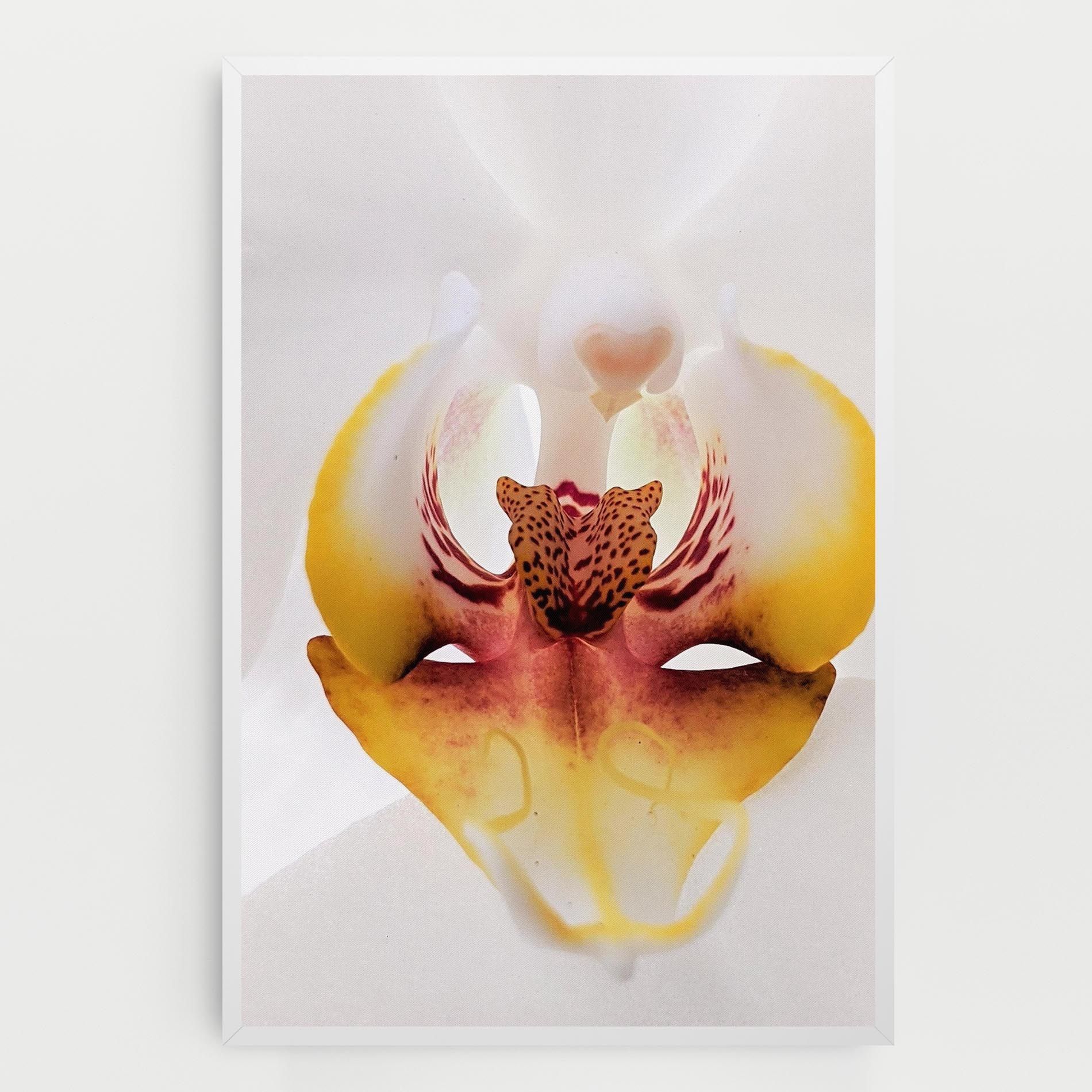 Orchid Close Up mockup 0