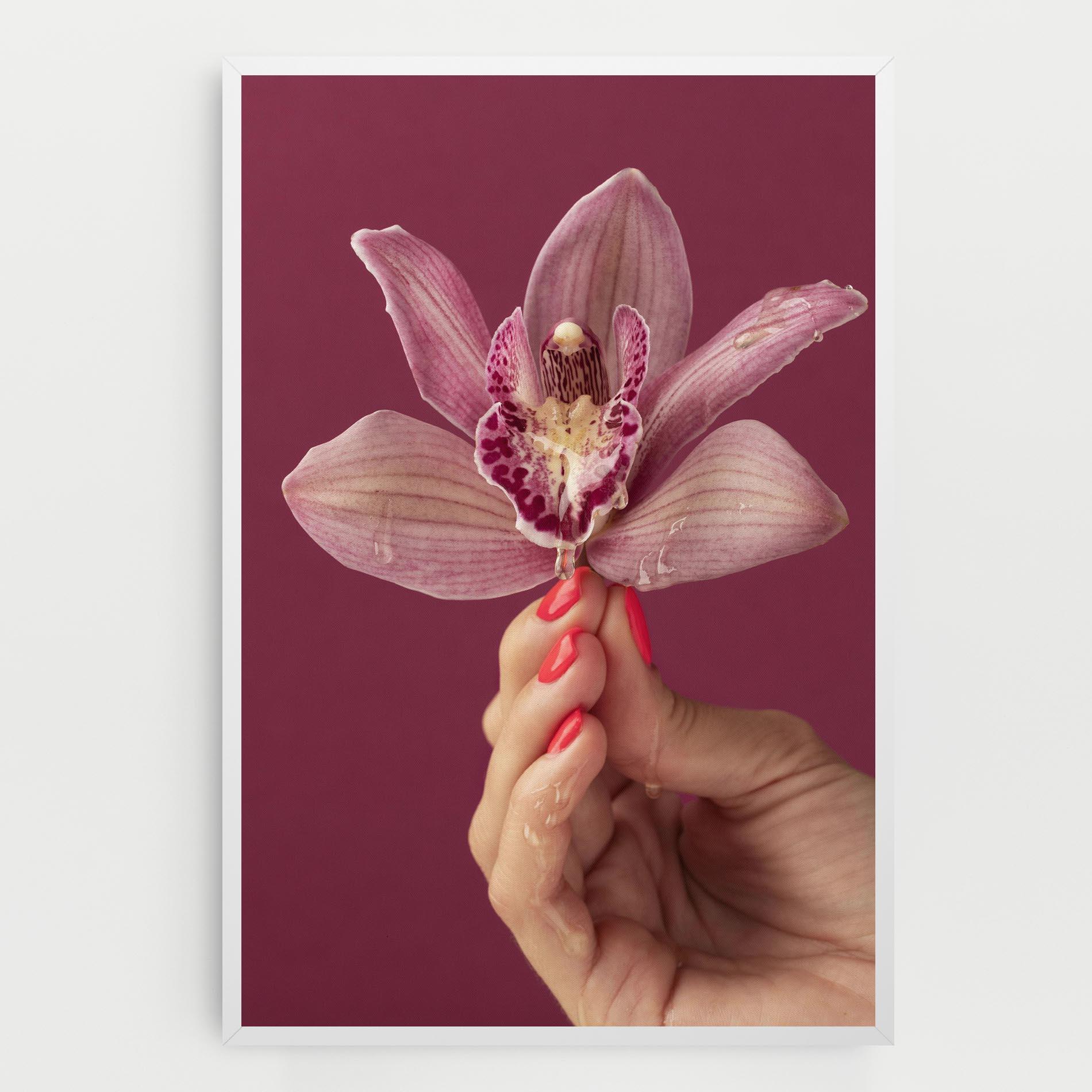 Leinwandbild Orchid Holding mockup 0