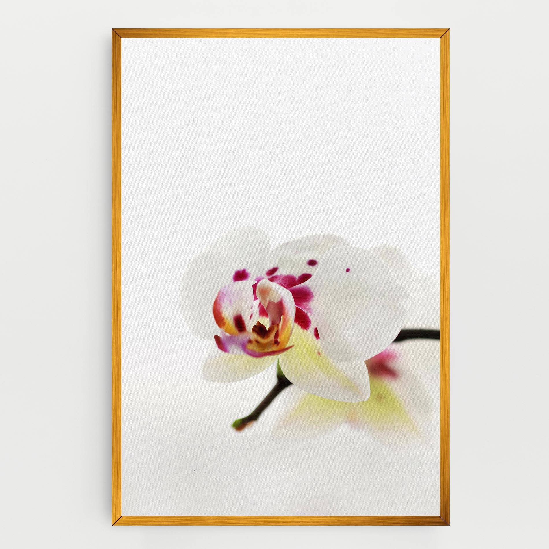 Leinwandbild Clean White Orchid mockup 0