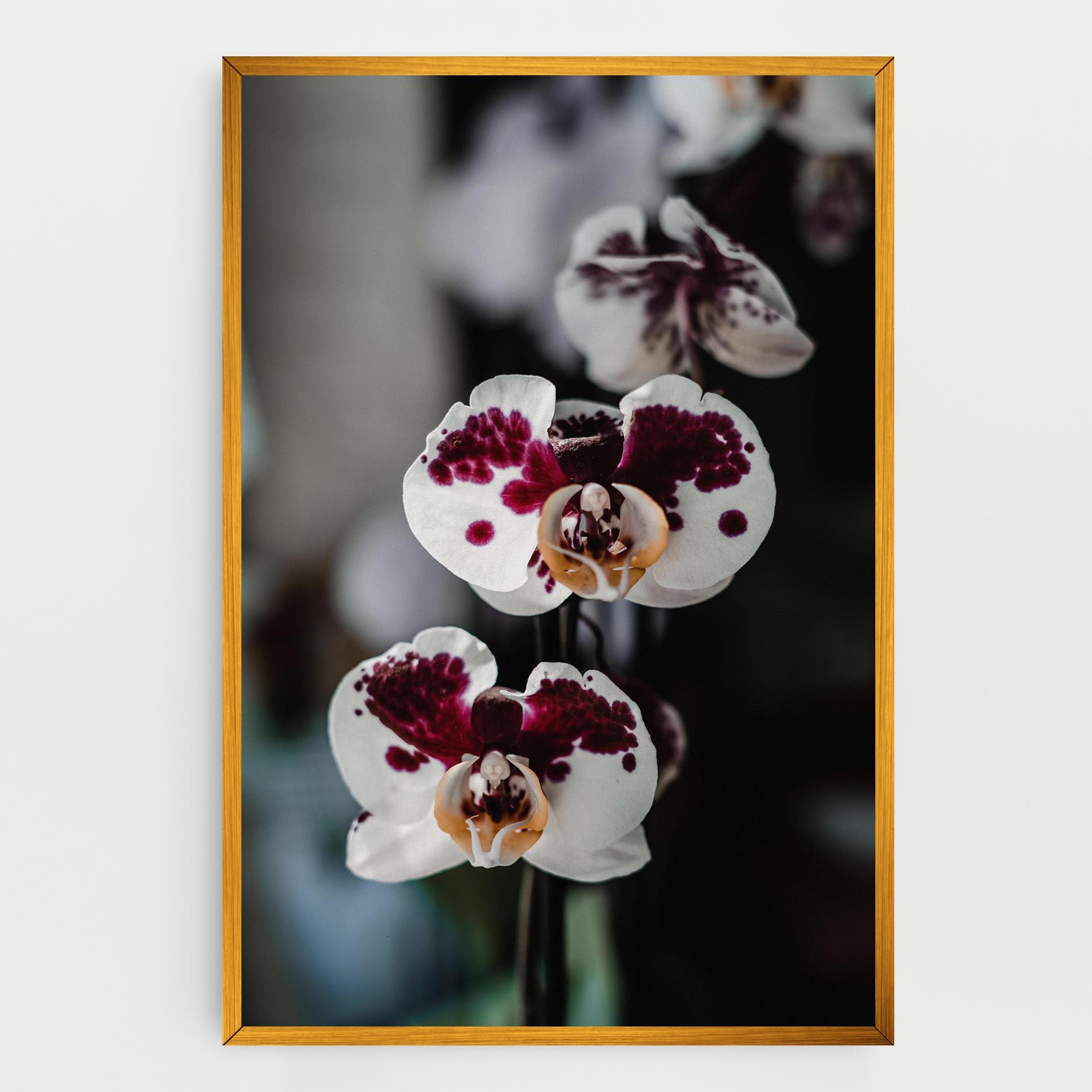 Leinwandbild Dark Purple Orchid mockup 0