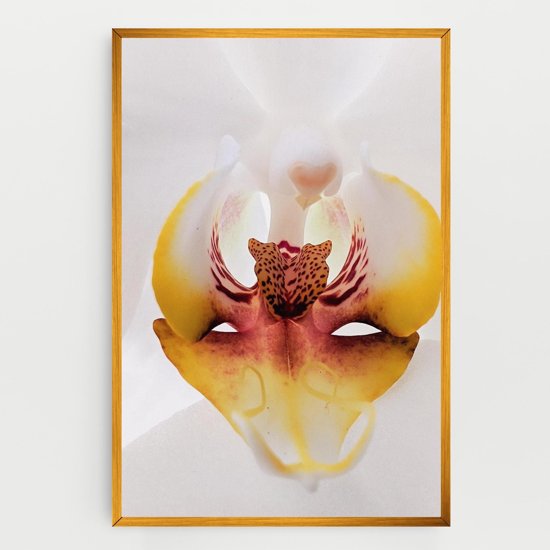 Orchid Close Up mockup 0