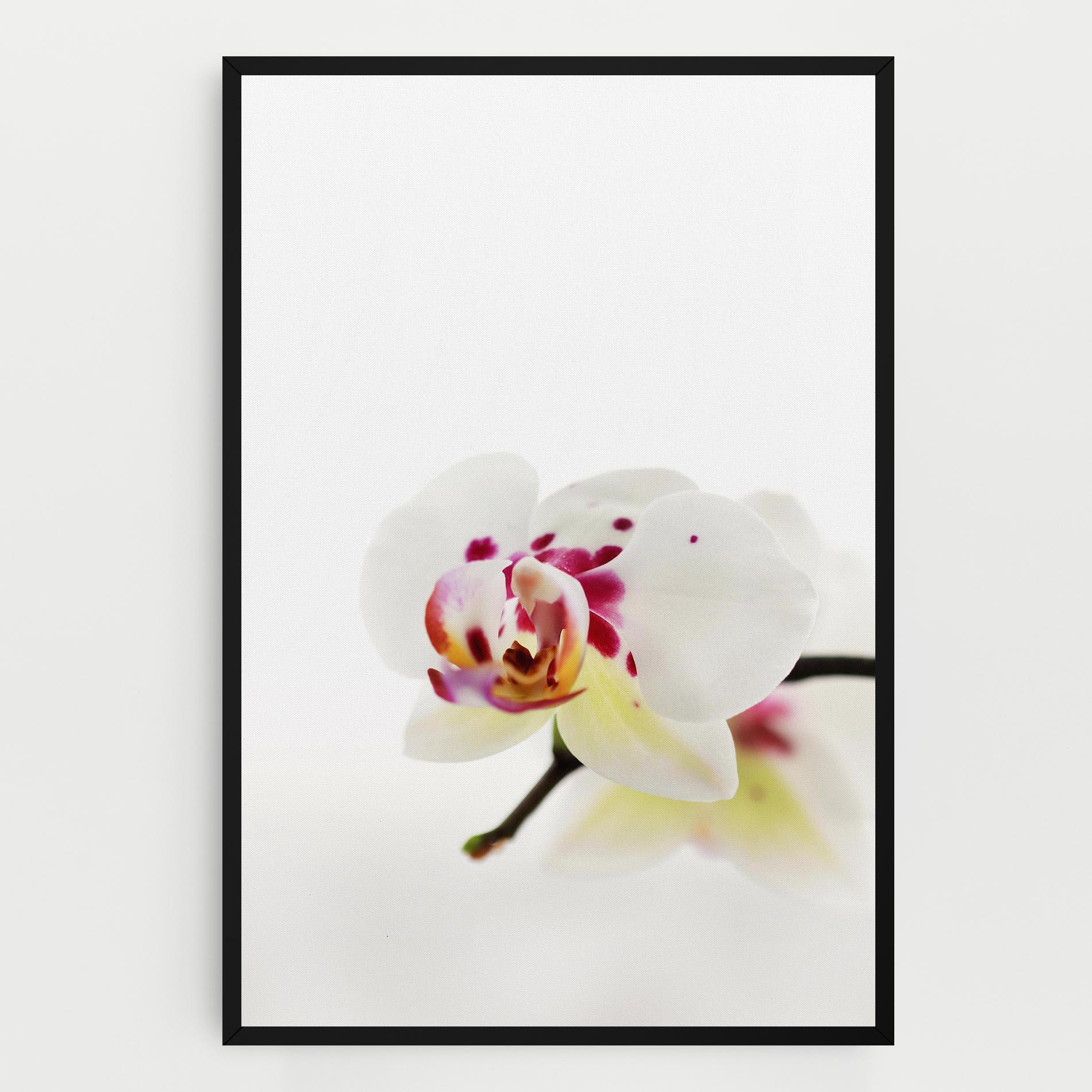 Leinwandbild Clean White Orchid mockup 0