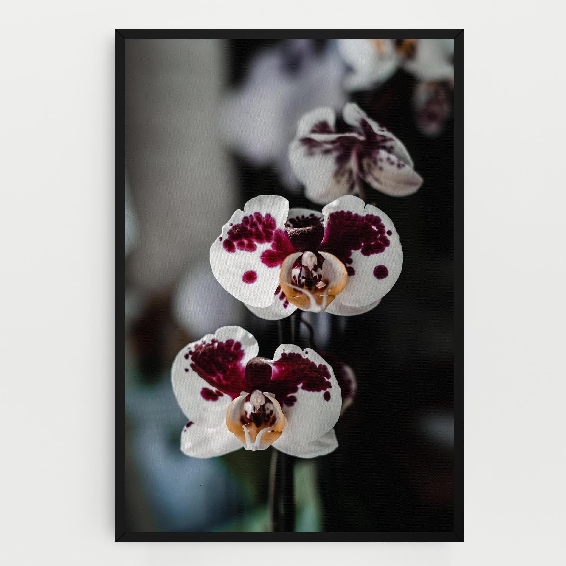 Leinwandbild Dark Purple Orchid mockup 0