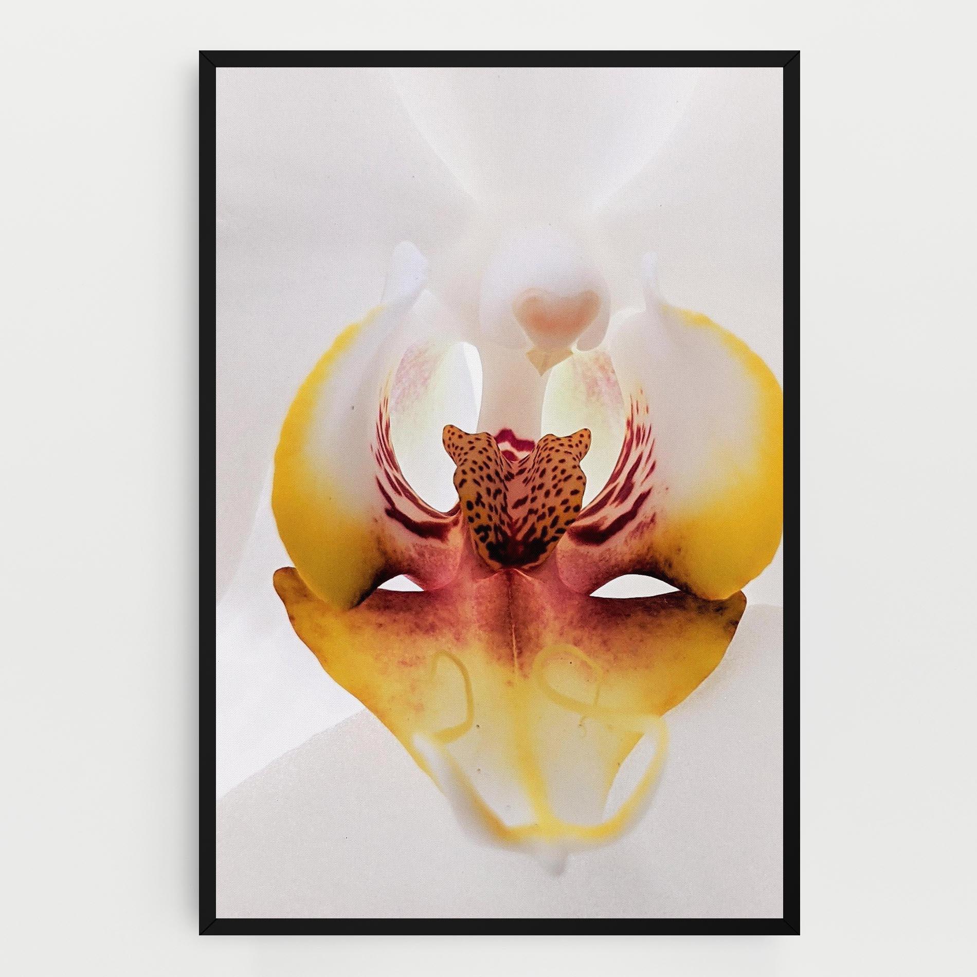 Leinwandbild Orchid Close Up mockup 0