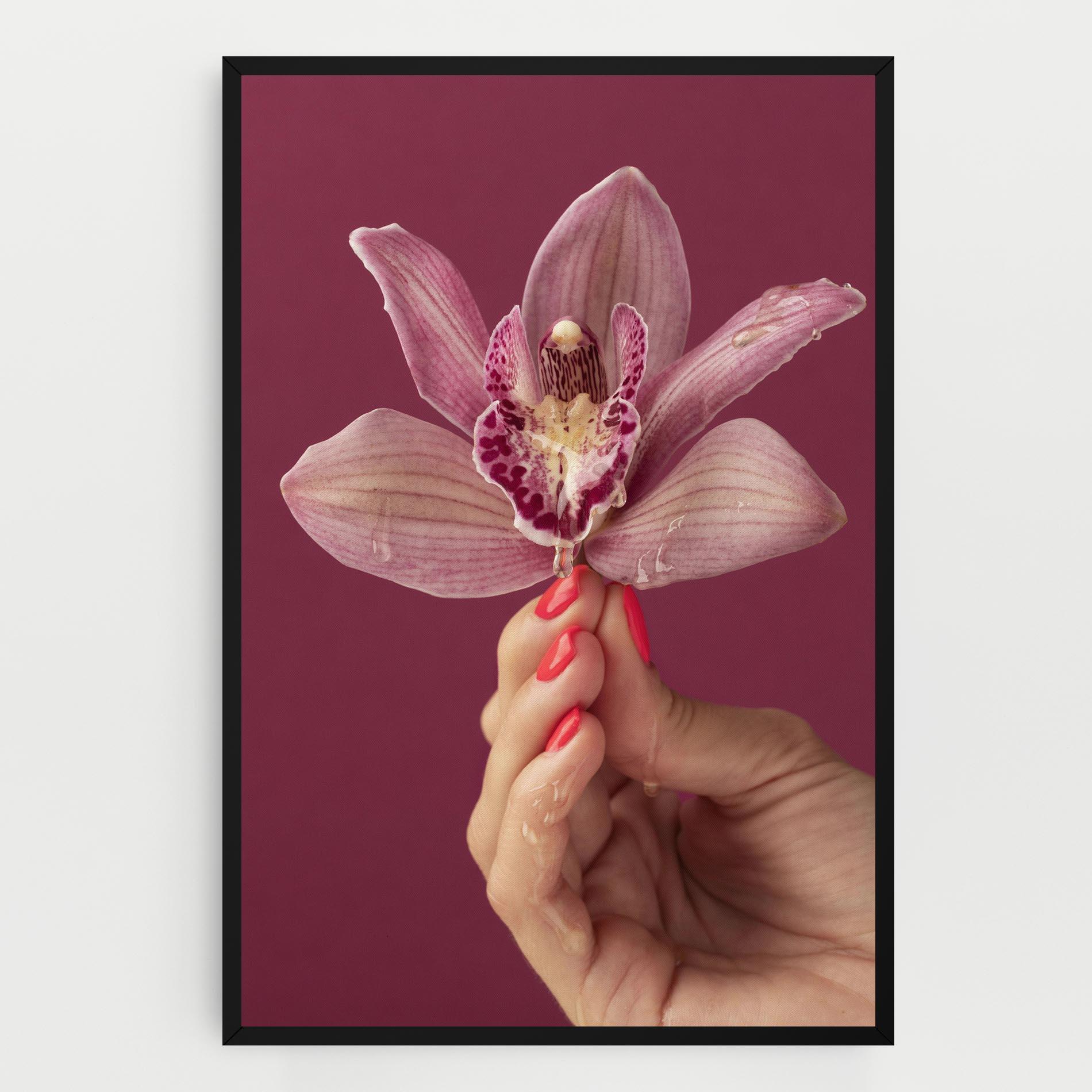 Leinwandbild Orchid Holding mockup 0