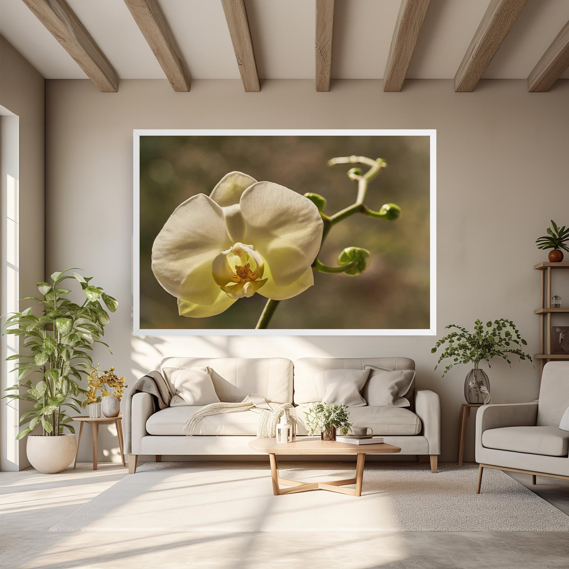 Leinwandbild Pastel Yellow Orchid In Garden mockup 6