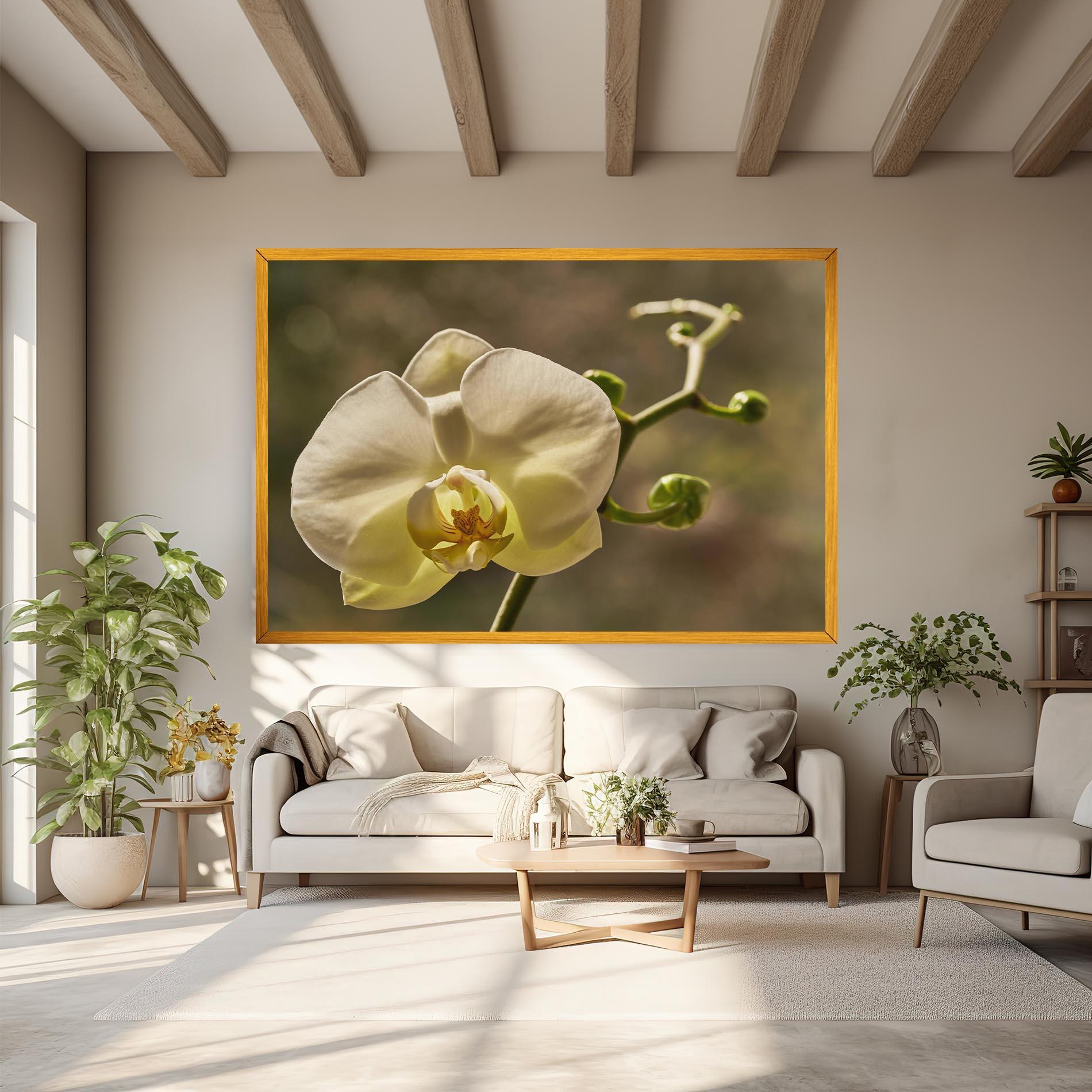 Leinwandbild Pastel Yellow Orchid In Garden mockup 6