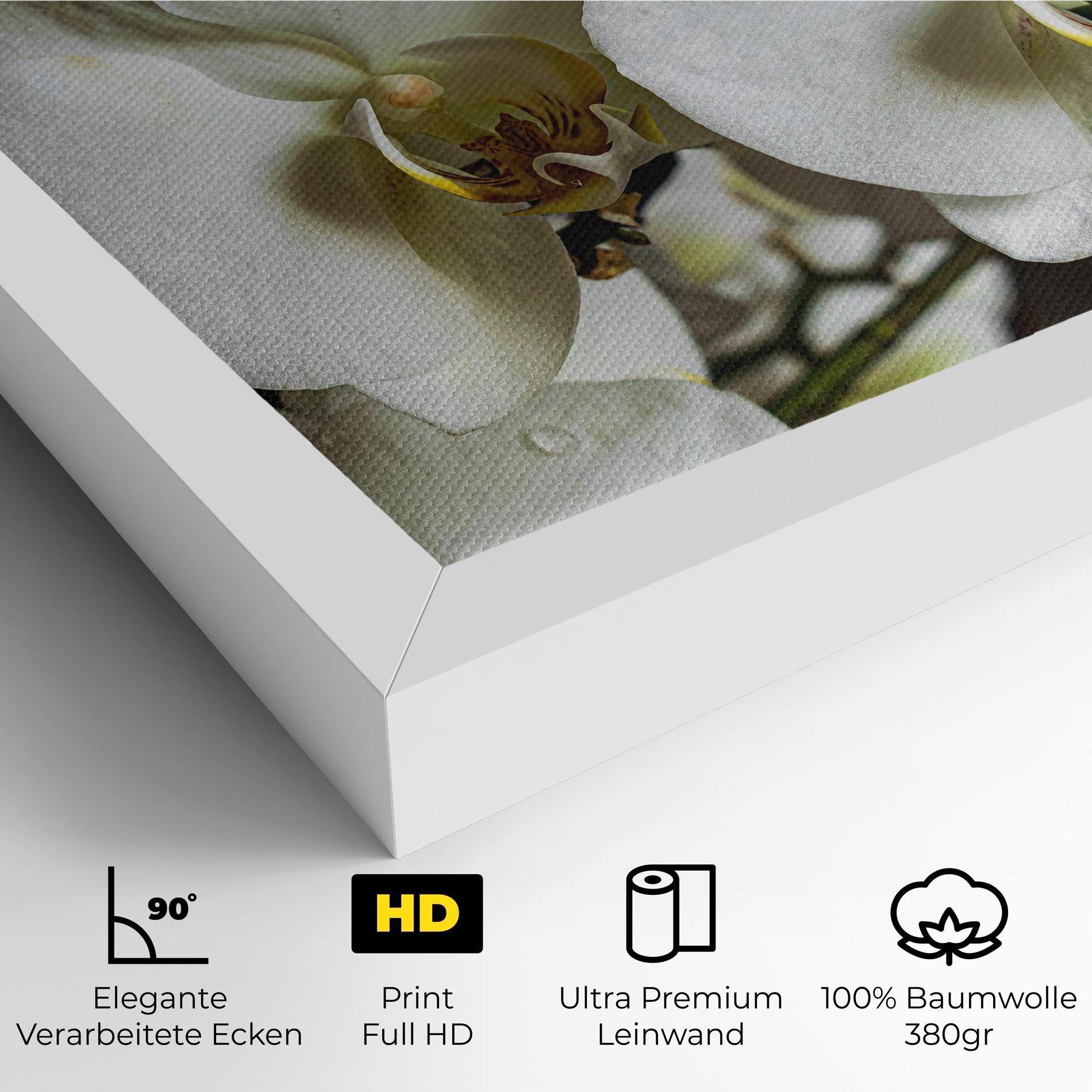 Leinwandbild Beautiful White Orchids mockup 4