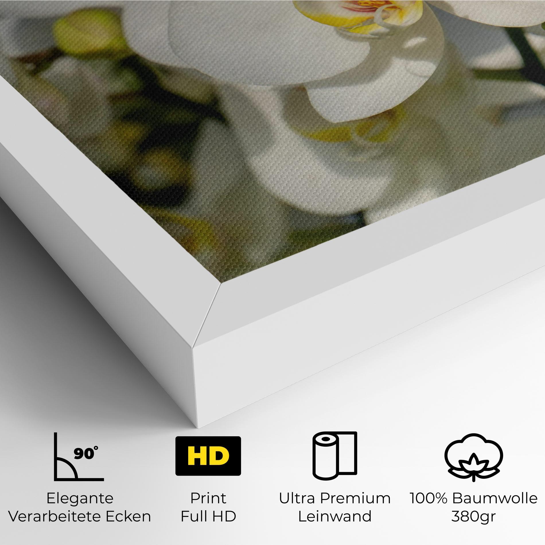 Leinwandbild Big Orchids In Nature mockup 4