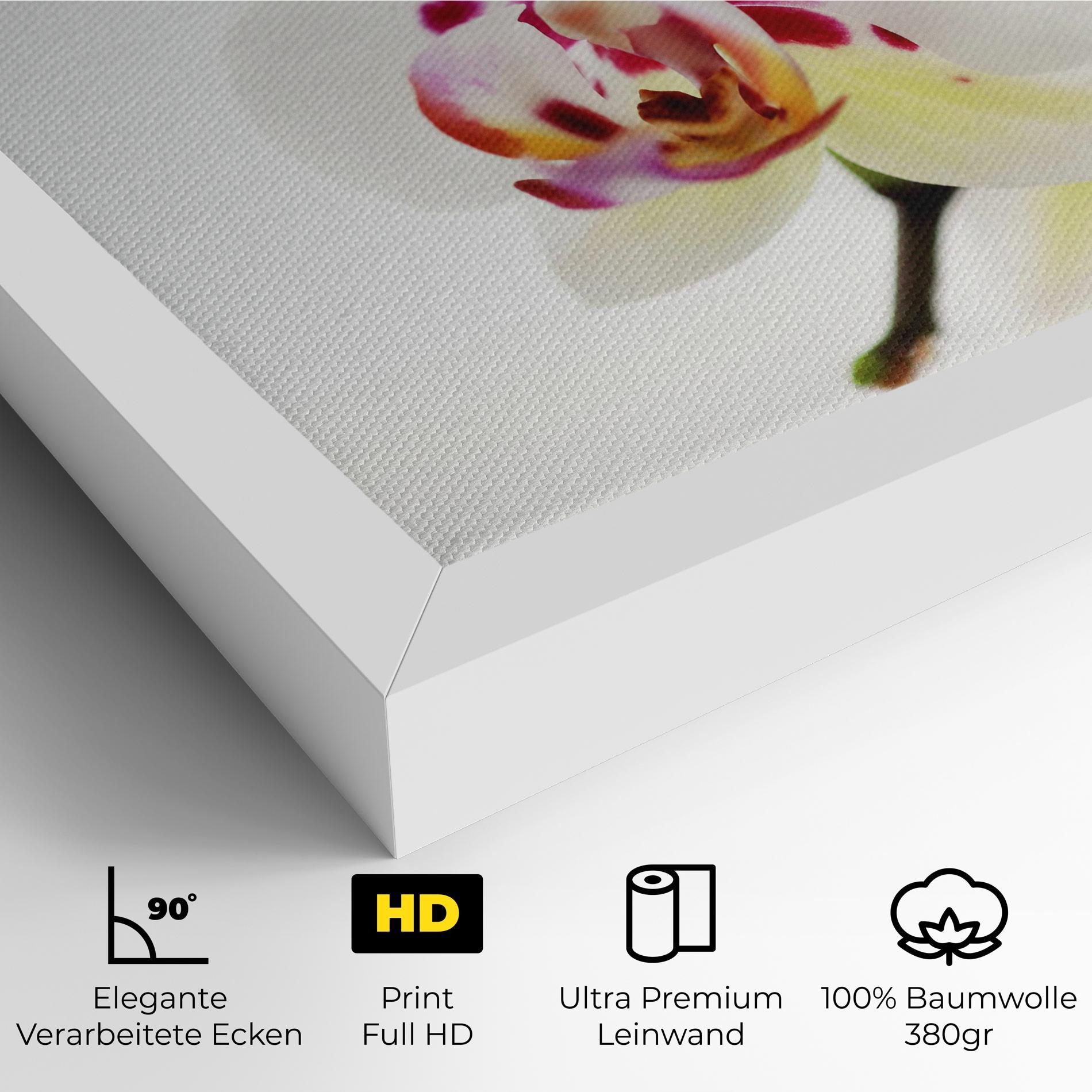 Leinwandbild Clean White Orchid mockup 4
