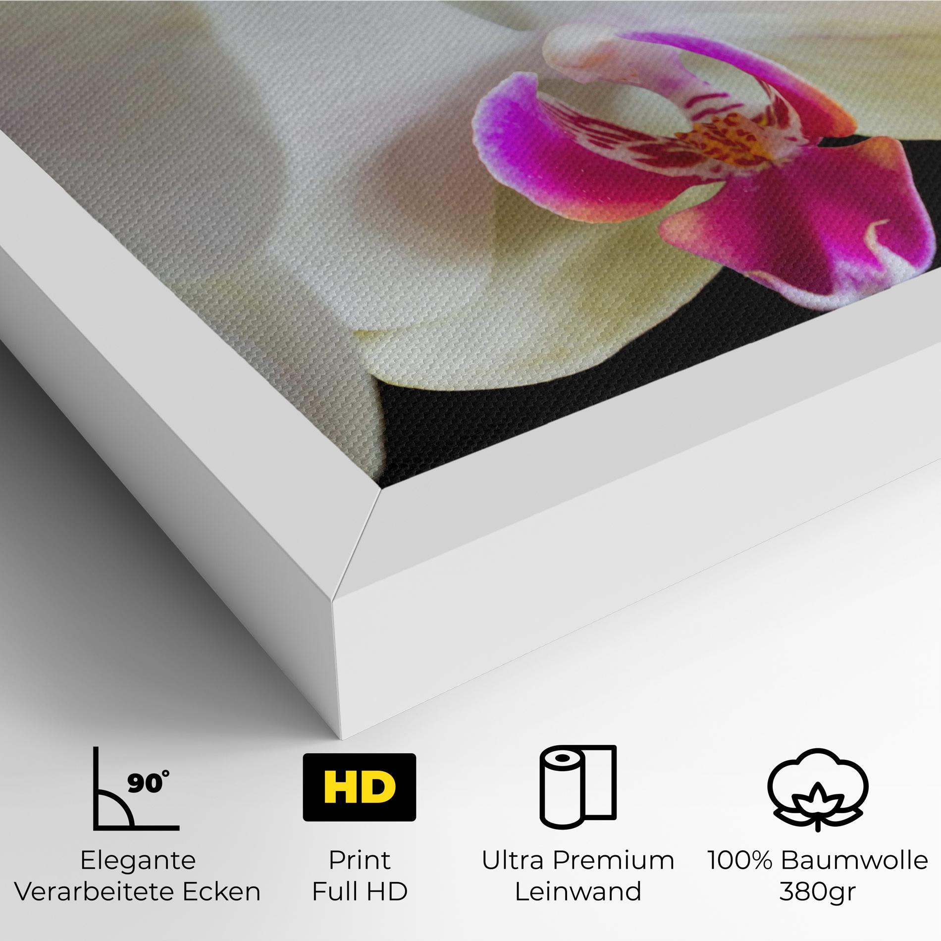 Leinwandbild Cream Purple Orchids mockup 4