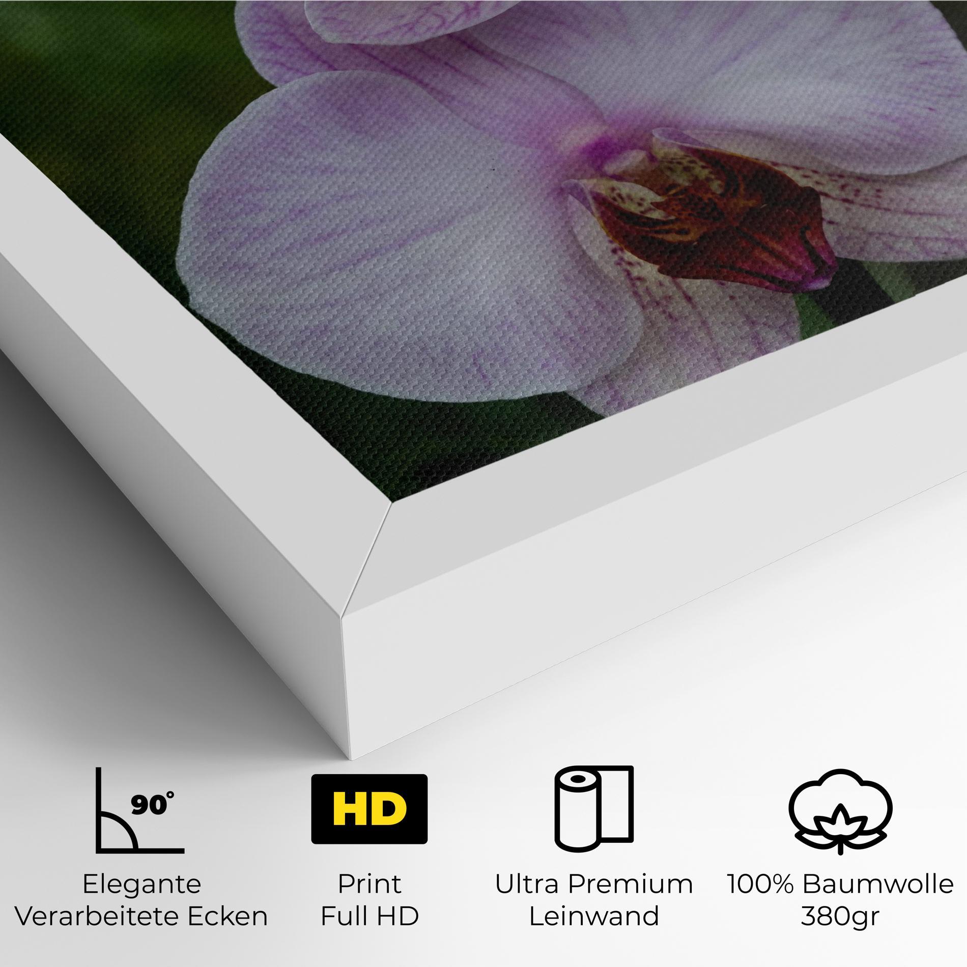 Leinwandbild Garden Light Purple Orchid mockup 4