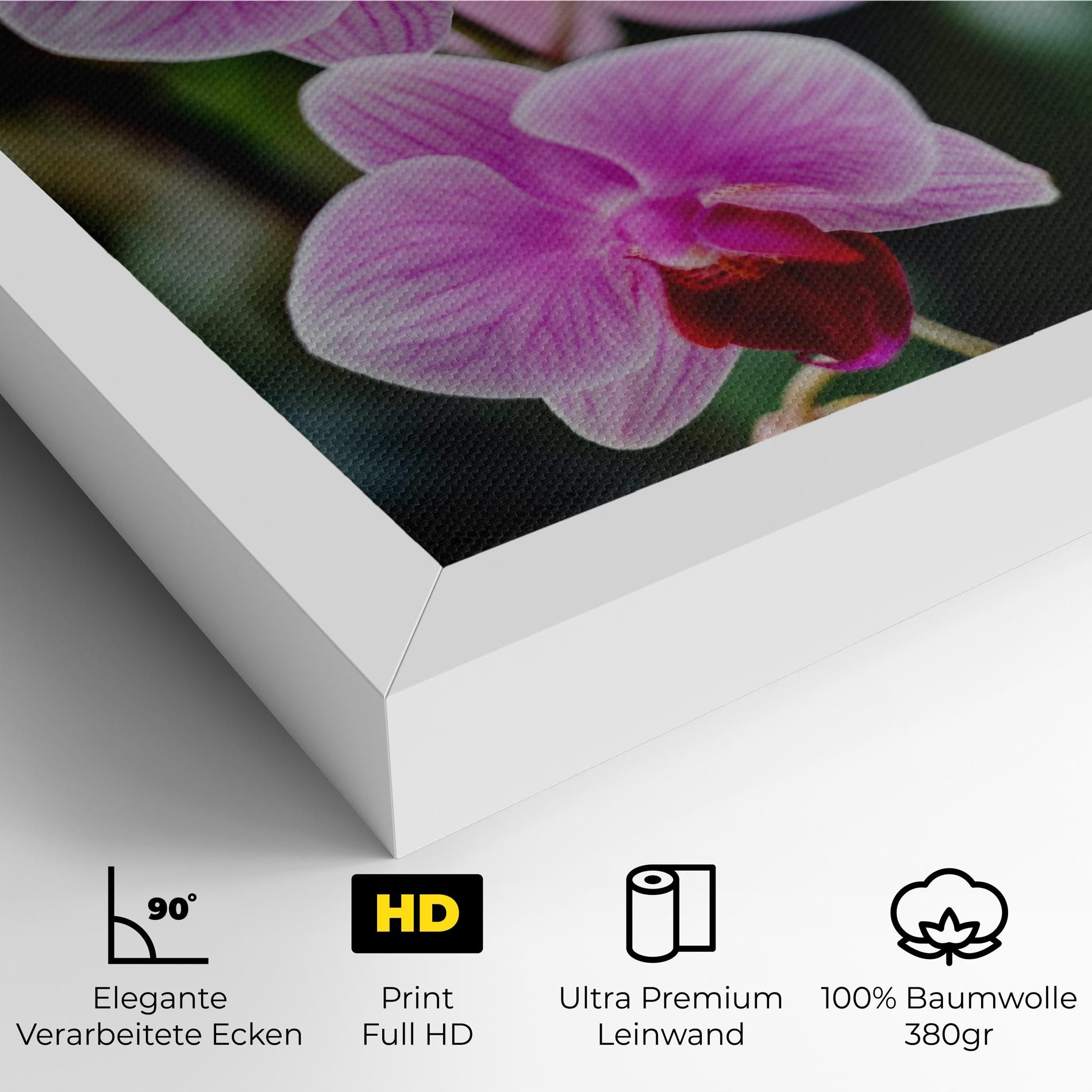Garden Purple Orchids mockup 4