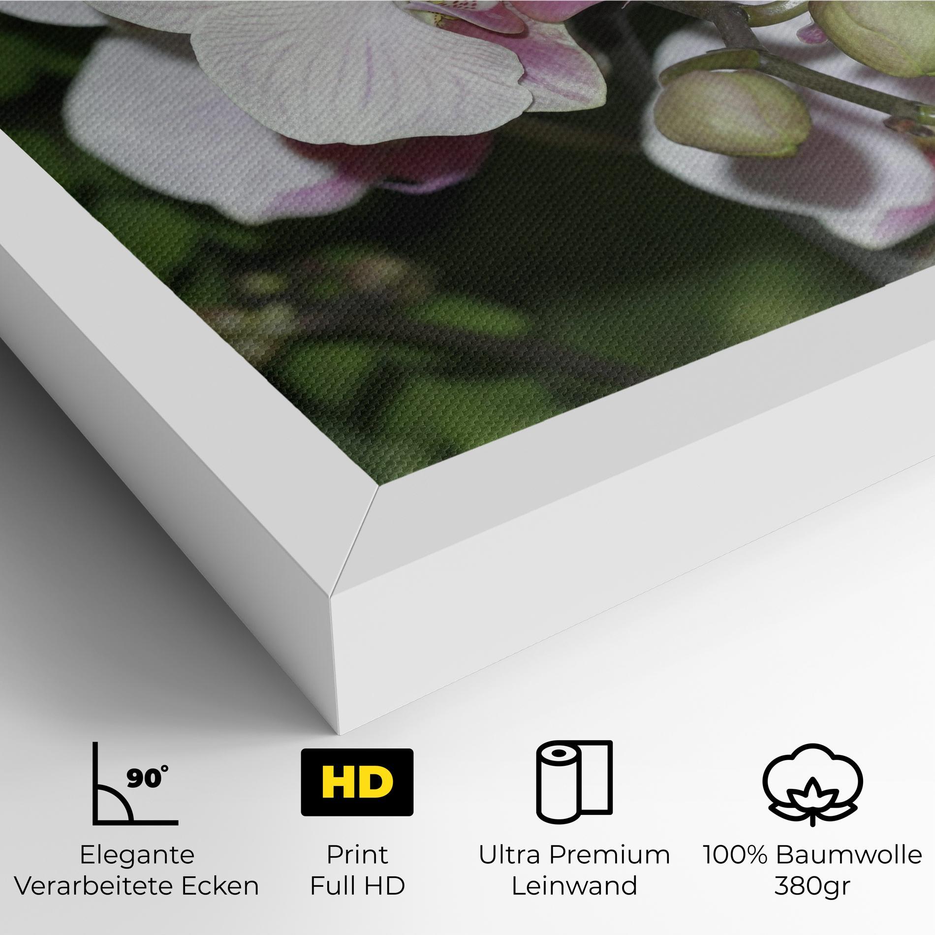 Leinwandbild Orchid Botanical Garden mockup 4