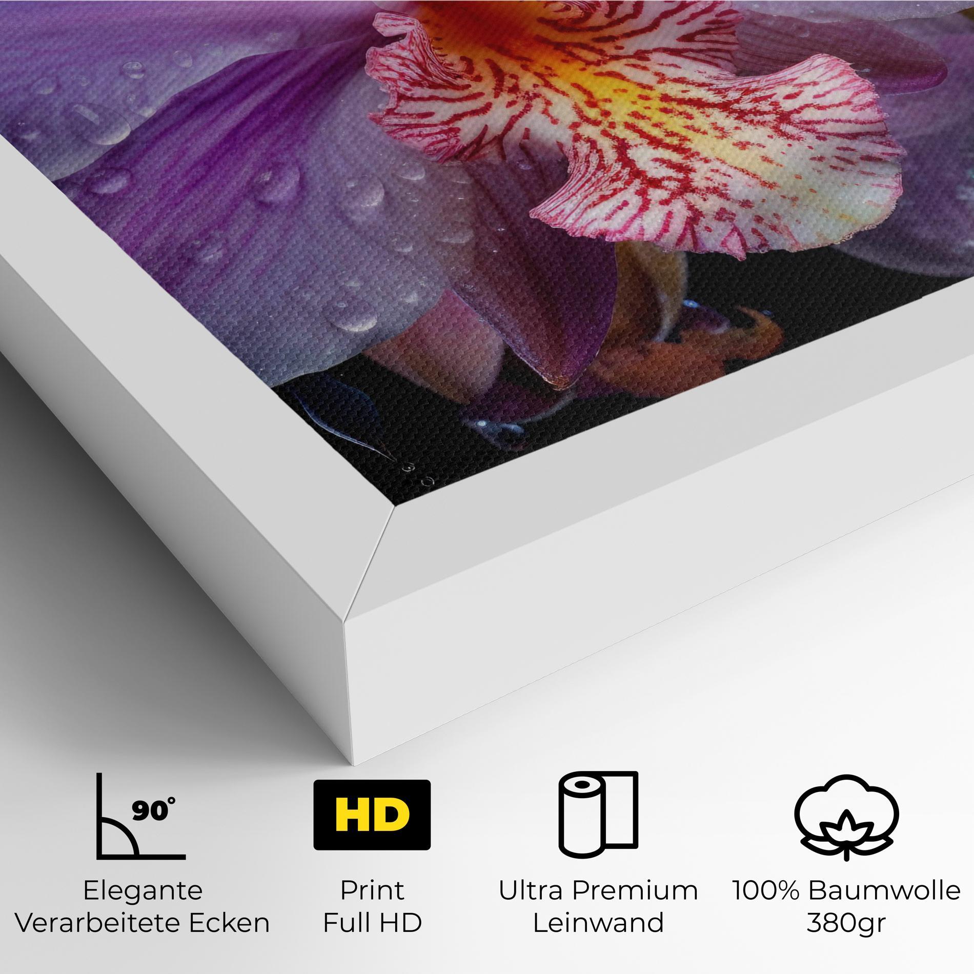 Leinwandbild Orchid In Rain mockup 4
