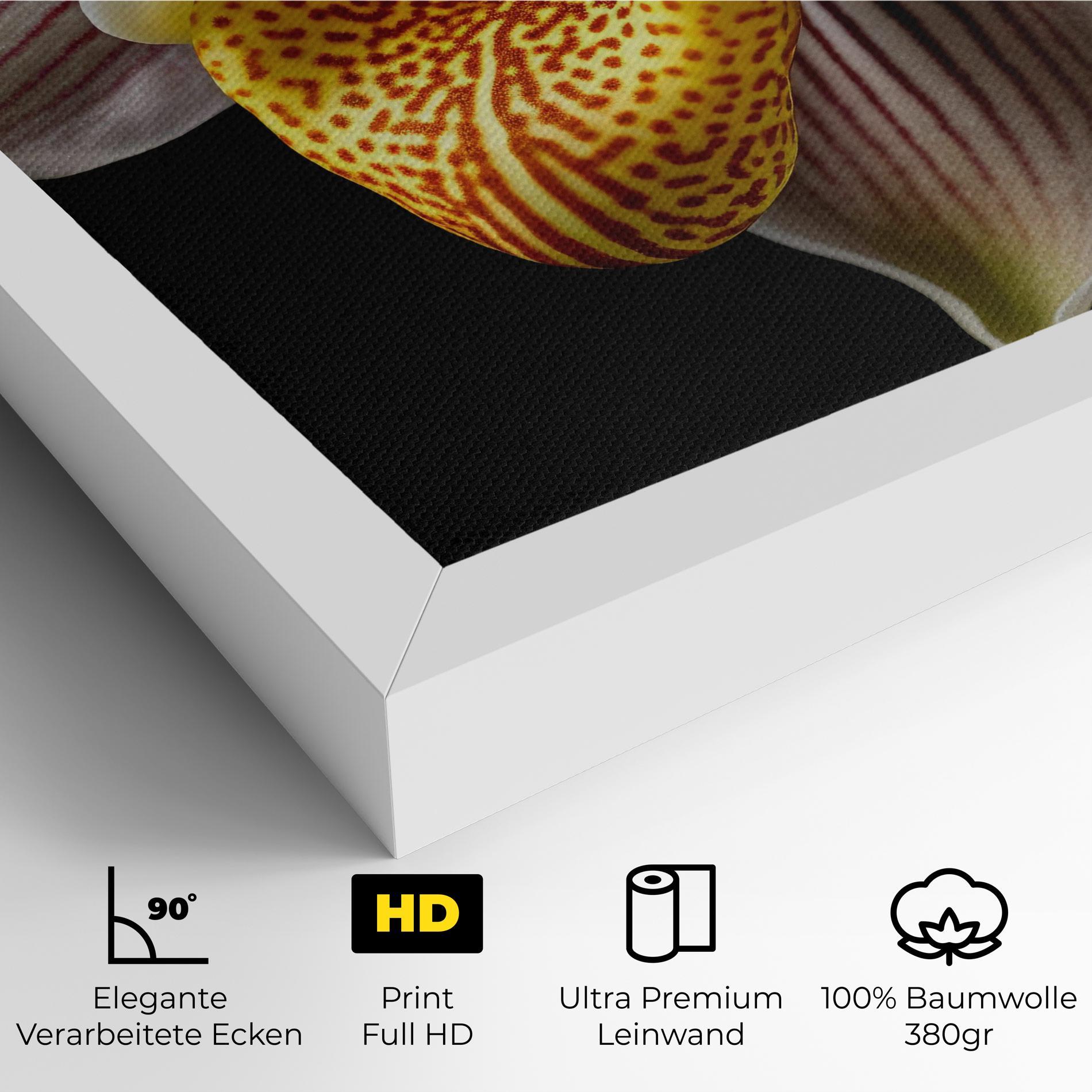 Leinwandbild Orchid On Black mockup 4