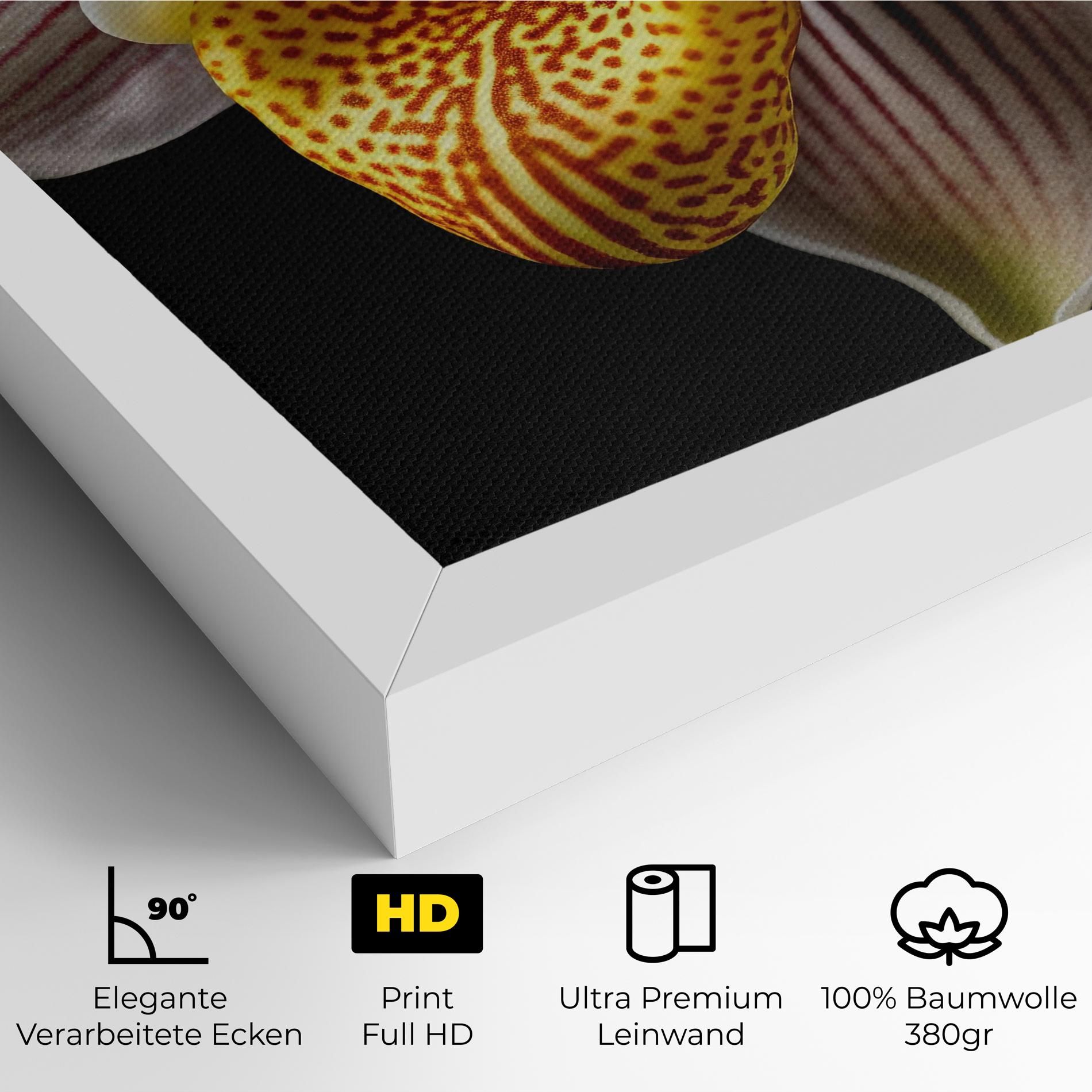 Orchid On Black mockup 4