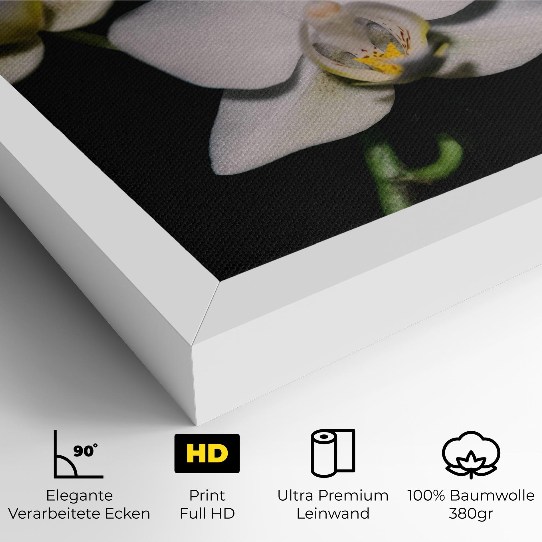 Leinwandbild Orchids On Black mockup 4