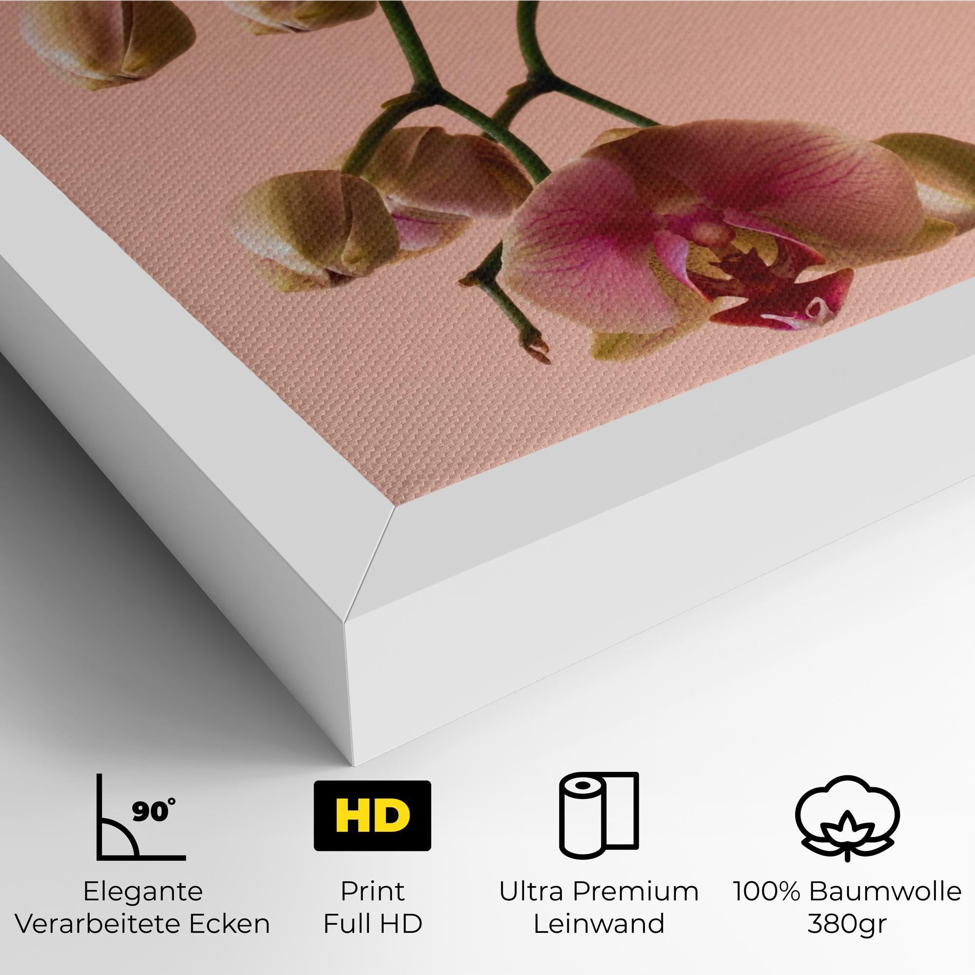 Leinwandbild Orchids On Pink mockup 4