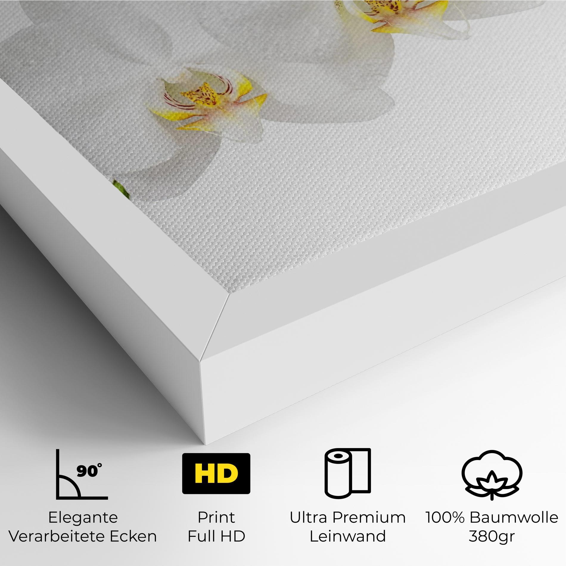 Leinwandbild Orchids On White mockup 4