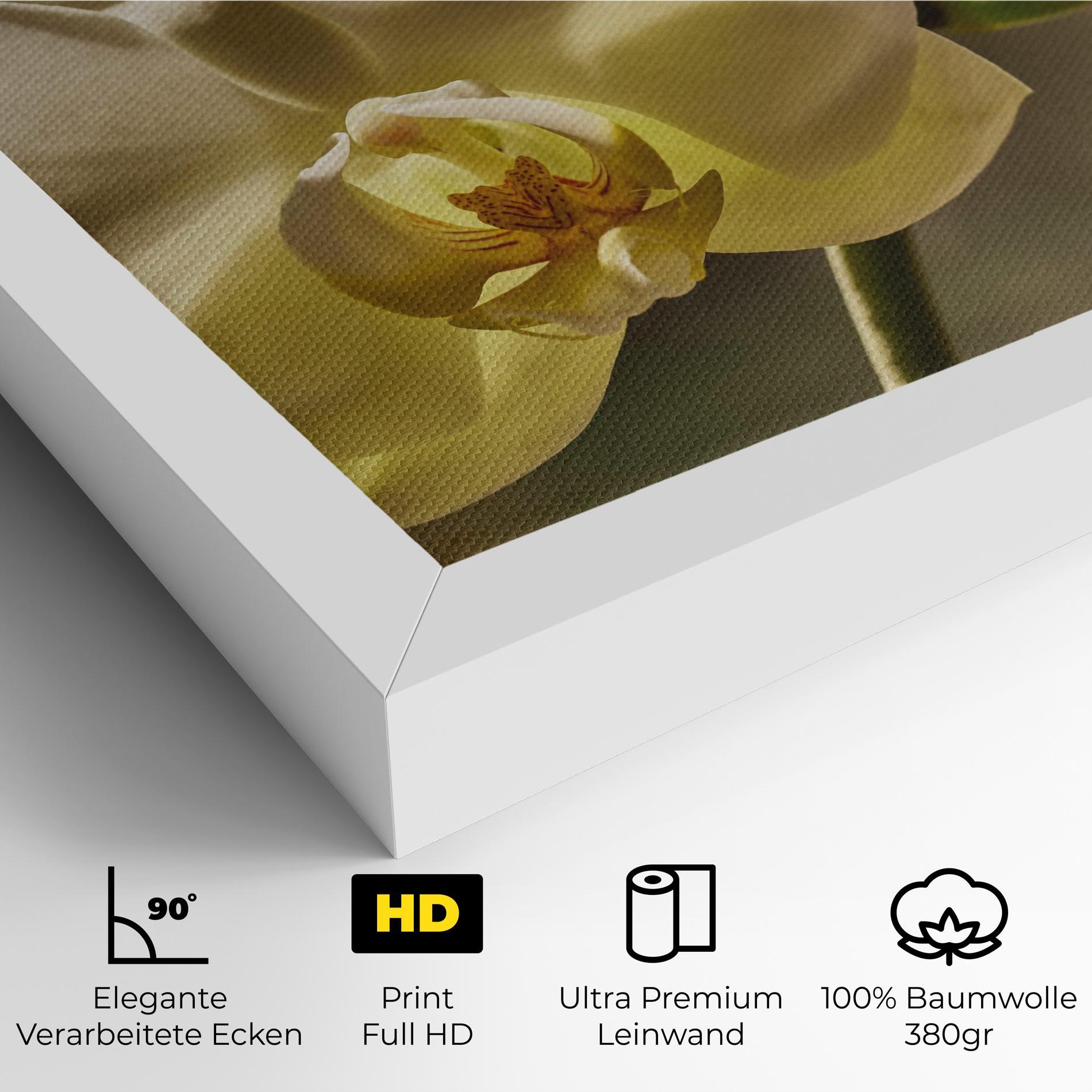 Leinwandbild Pastel Yellow Orchid In Garden mockup 4