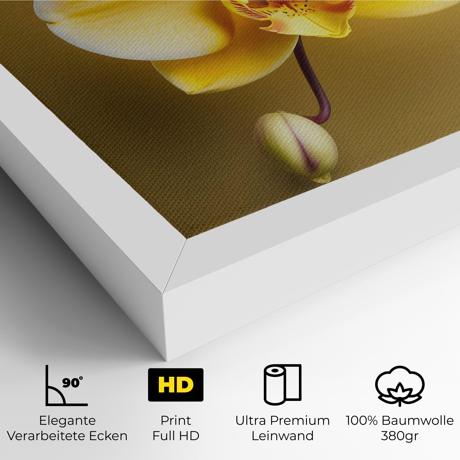 Pastel Yellow Orchid mockup 4