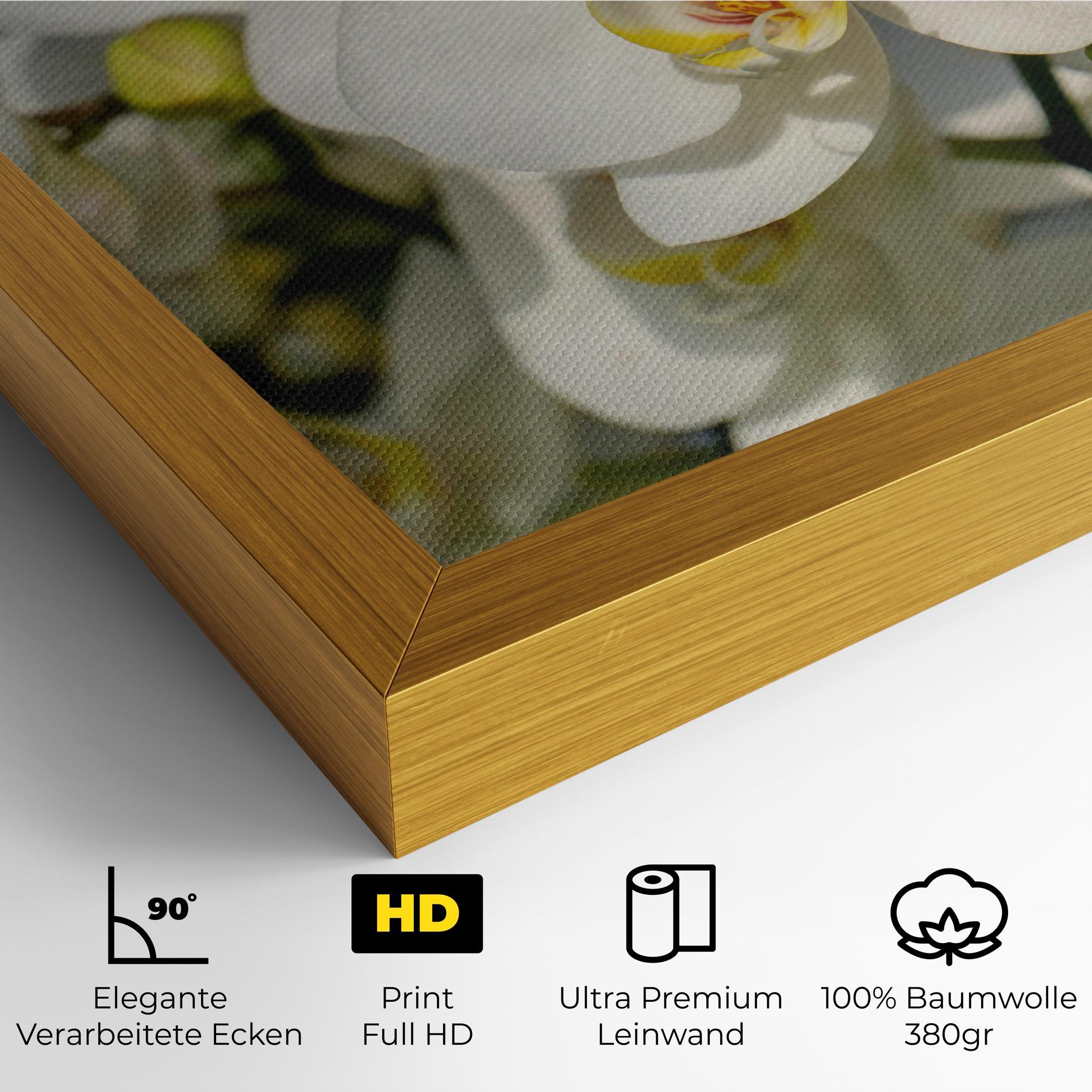 Leinwandbild Big Orchids In Nature mockup 4