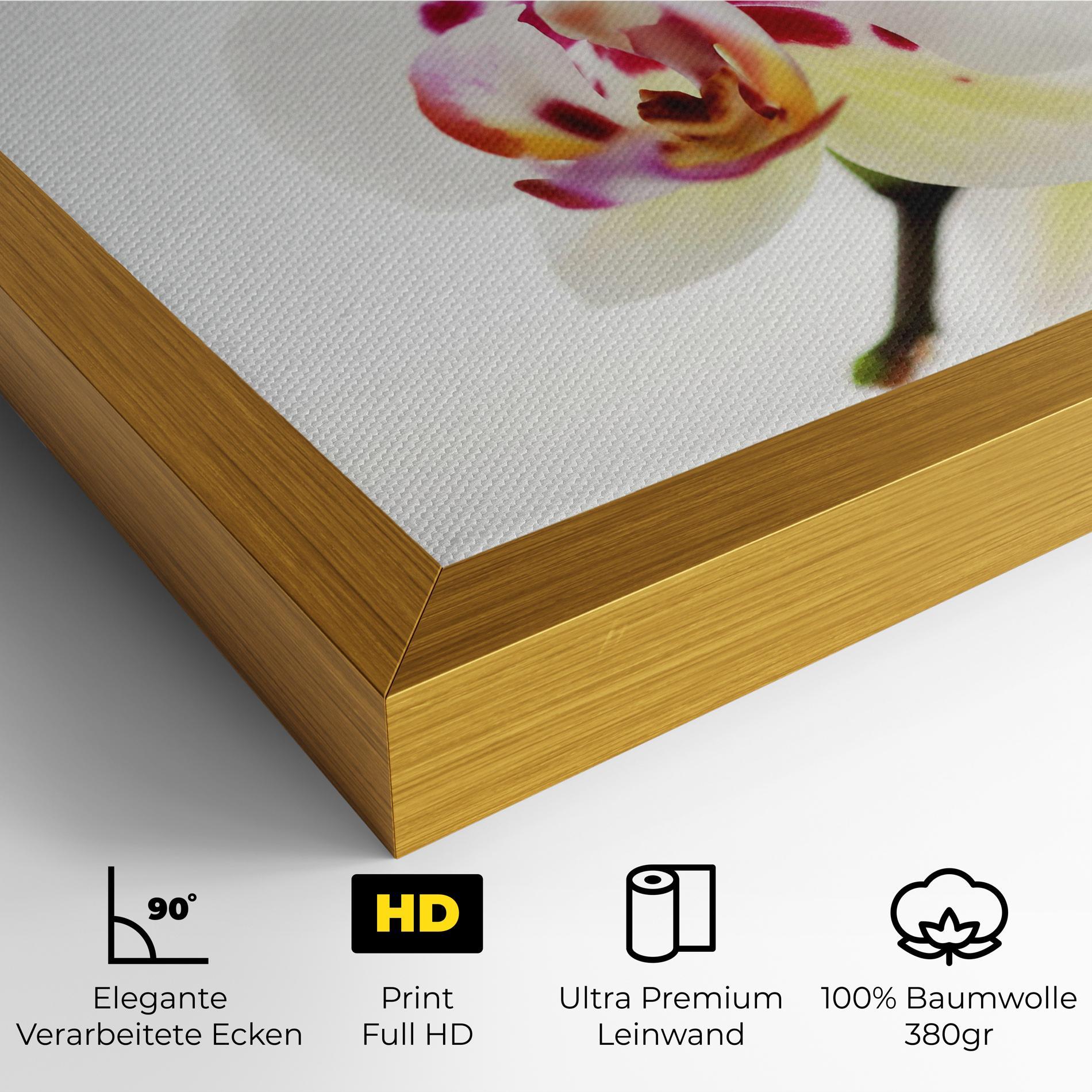 Leinwandbild Clean White Orchid mockup 4