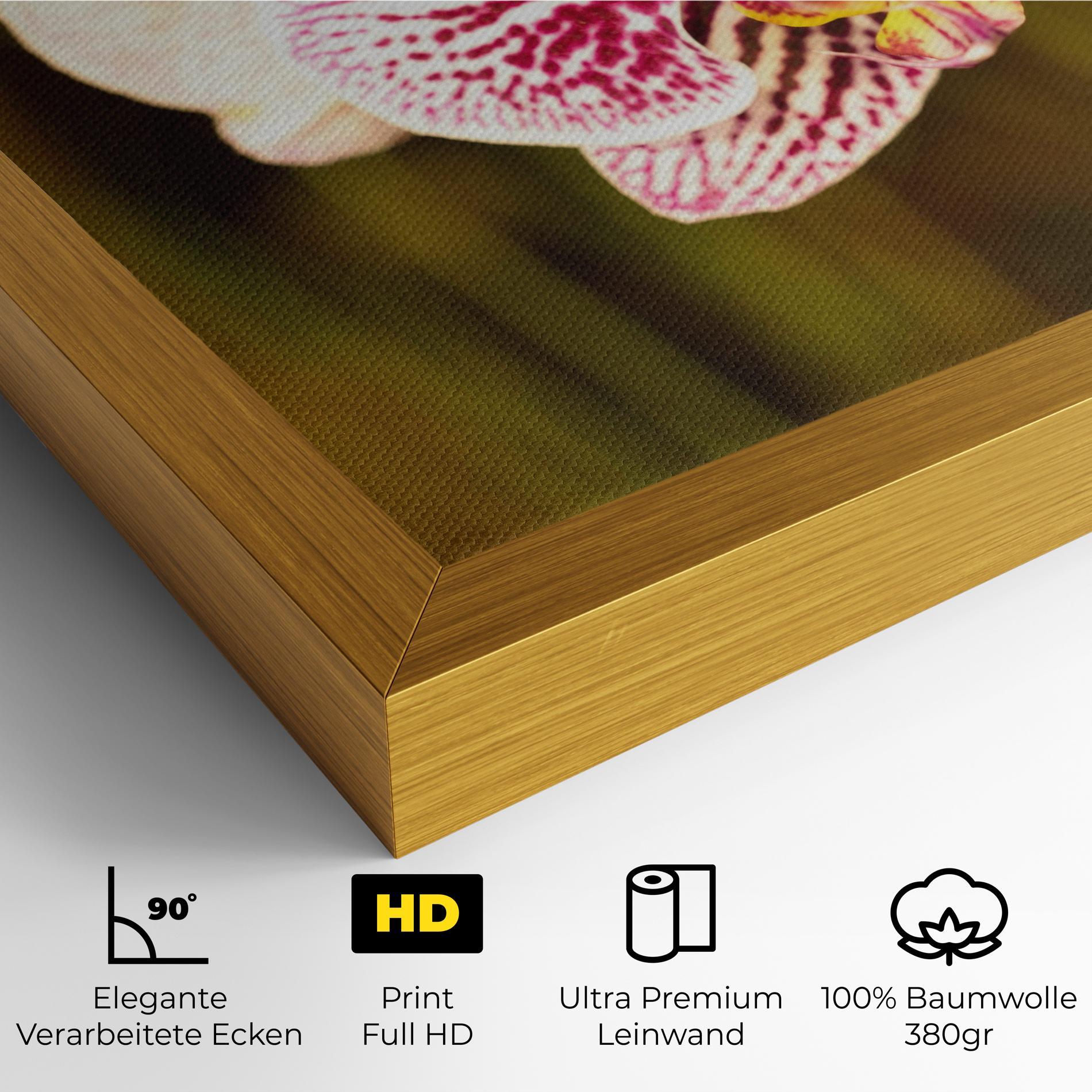 Leinwandbild Garden Orchids mockup 4