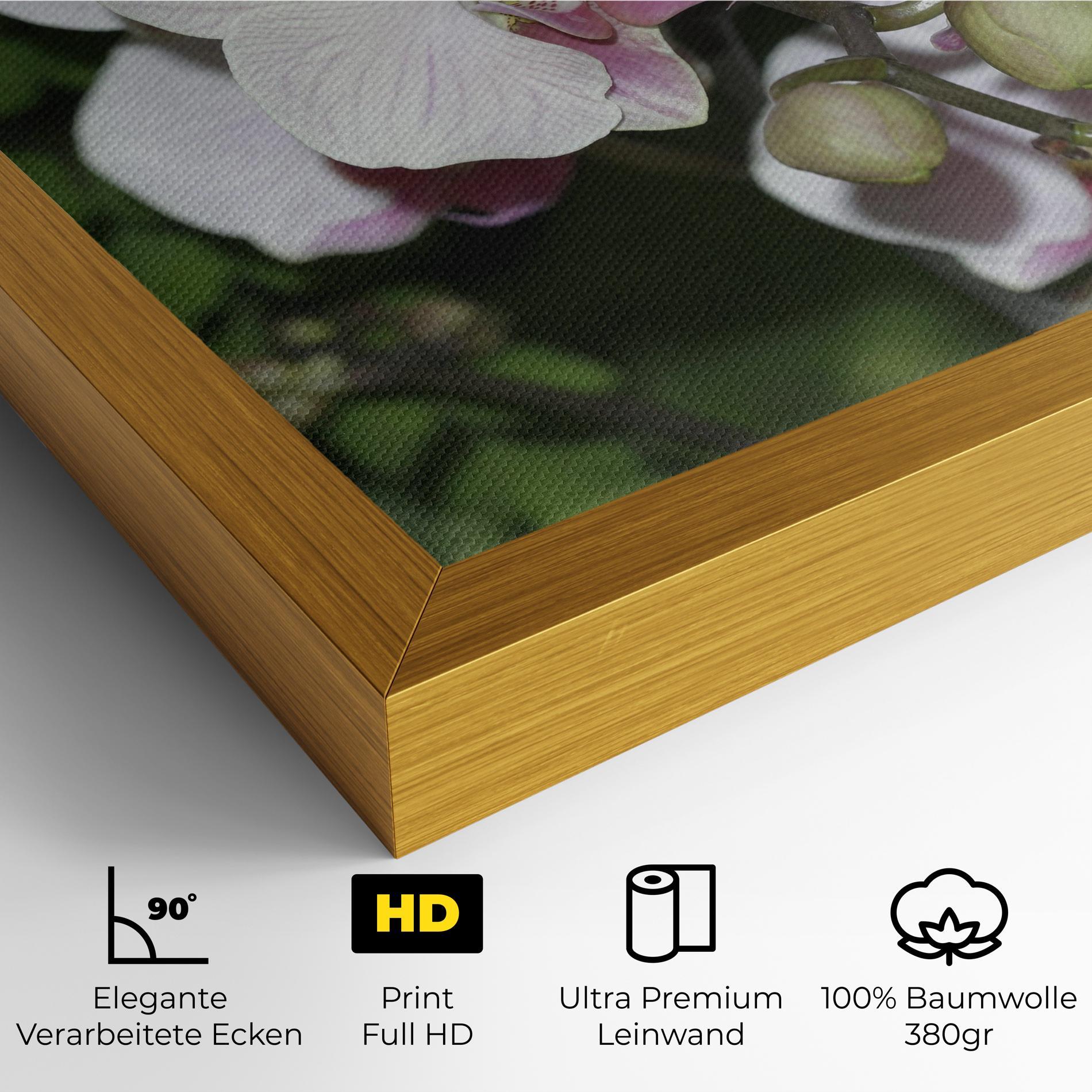 Leinwandbild Orchid Botanical Garden mockup 4