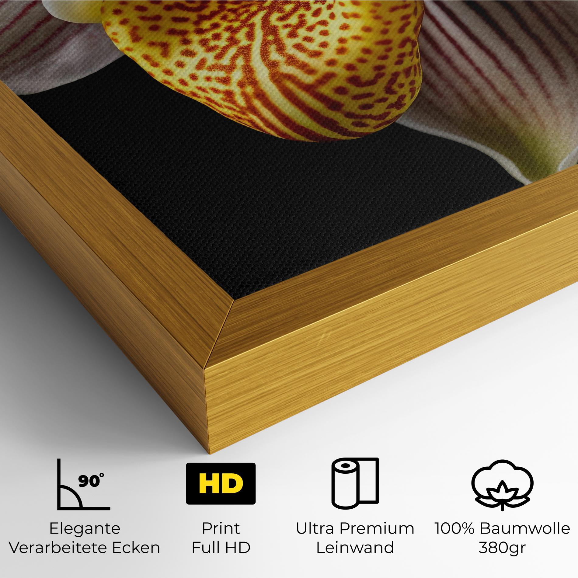 Leinwandbild Orchid On Black mockup 4