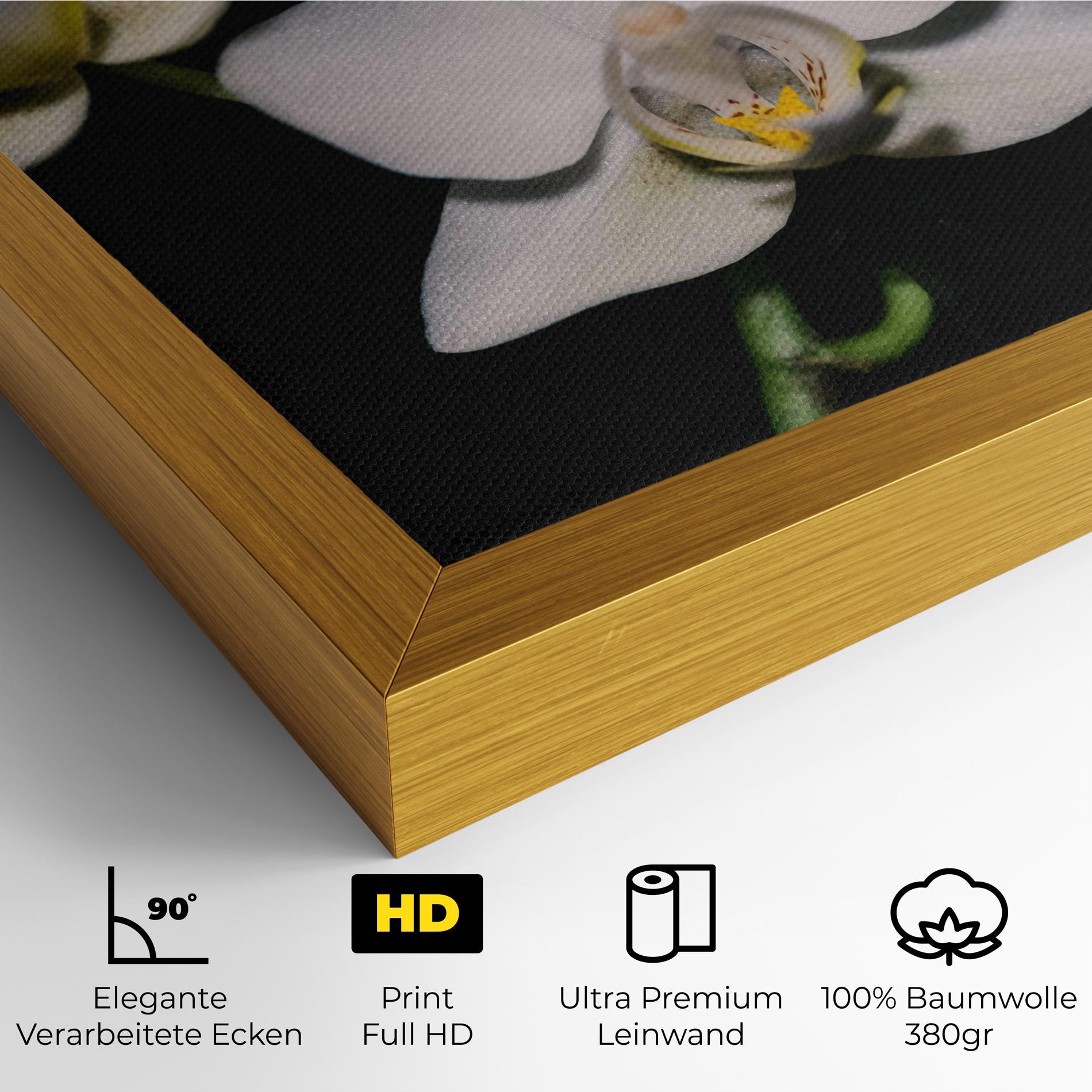 Leinwandbild Orchids On Black mockup 4