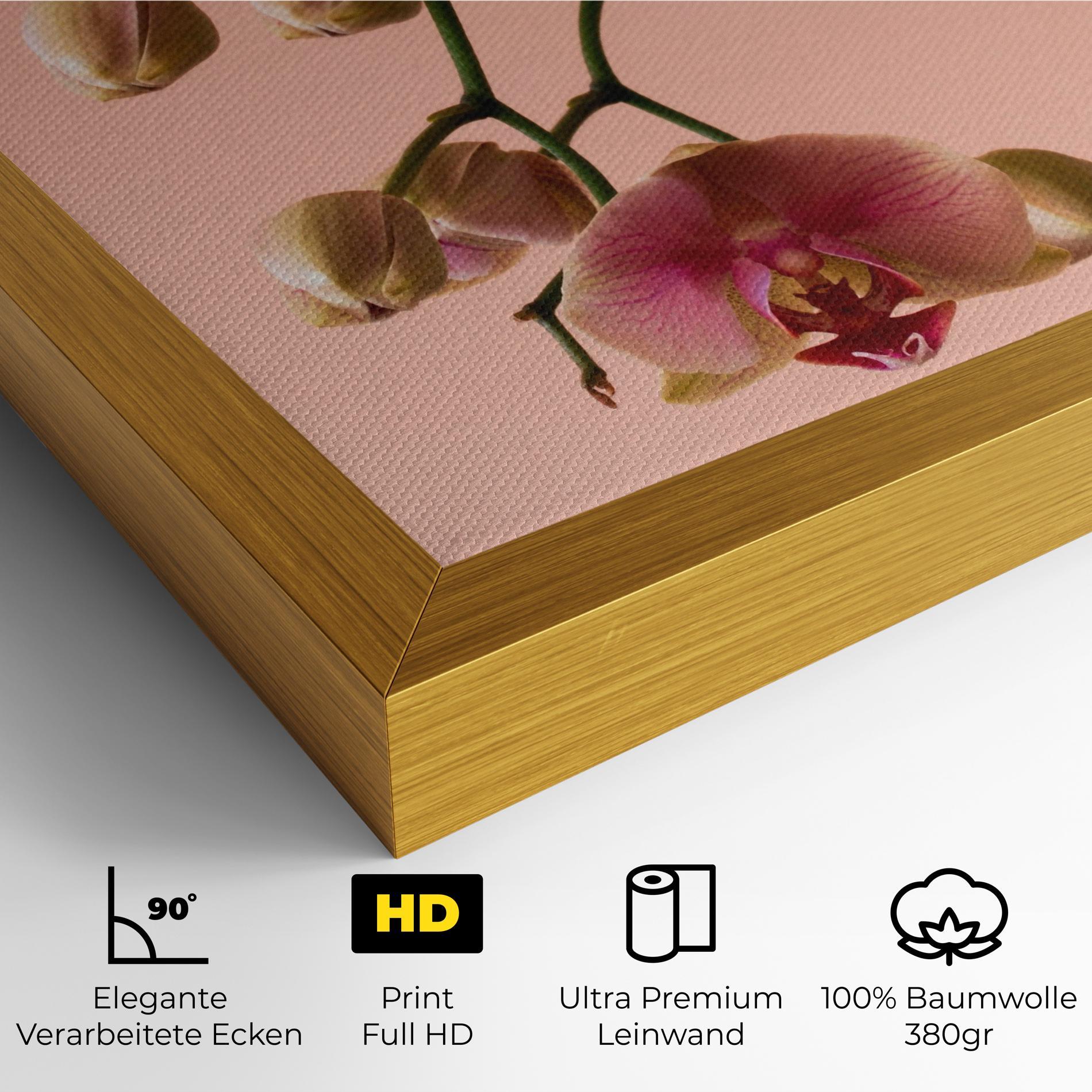 Leinwandbild Orchids On Pink mockup 4