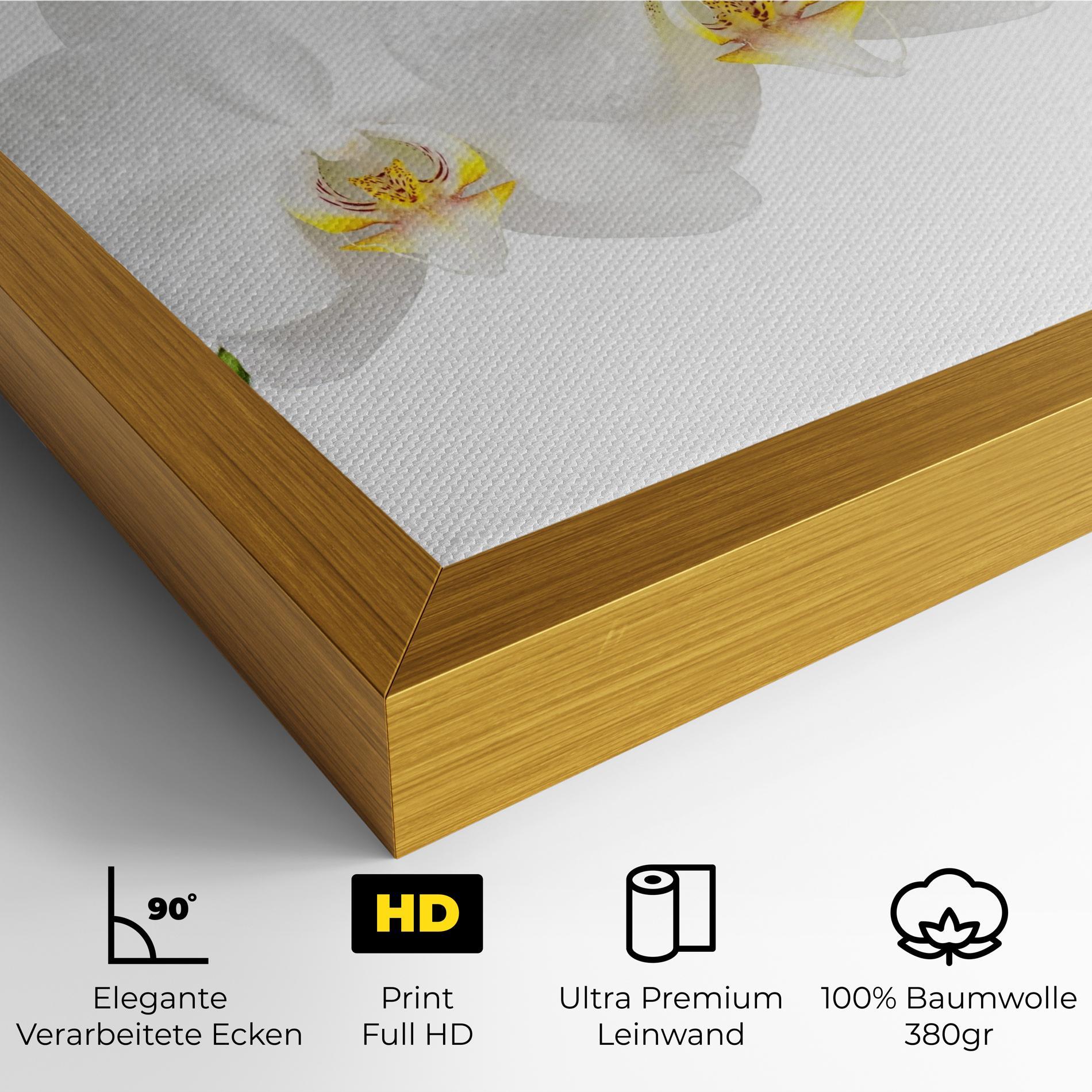 Leinwandbild Orchids On White mockup 4