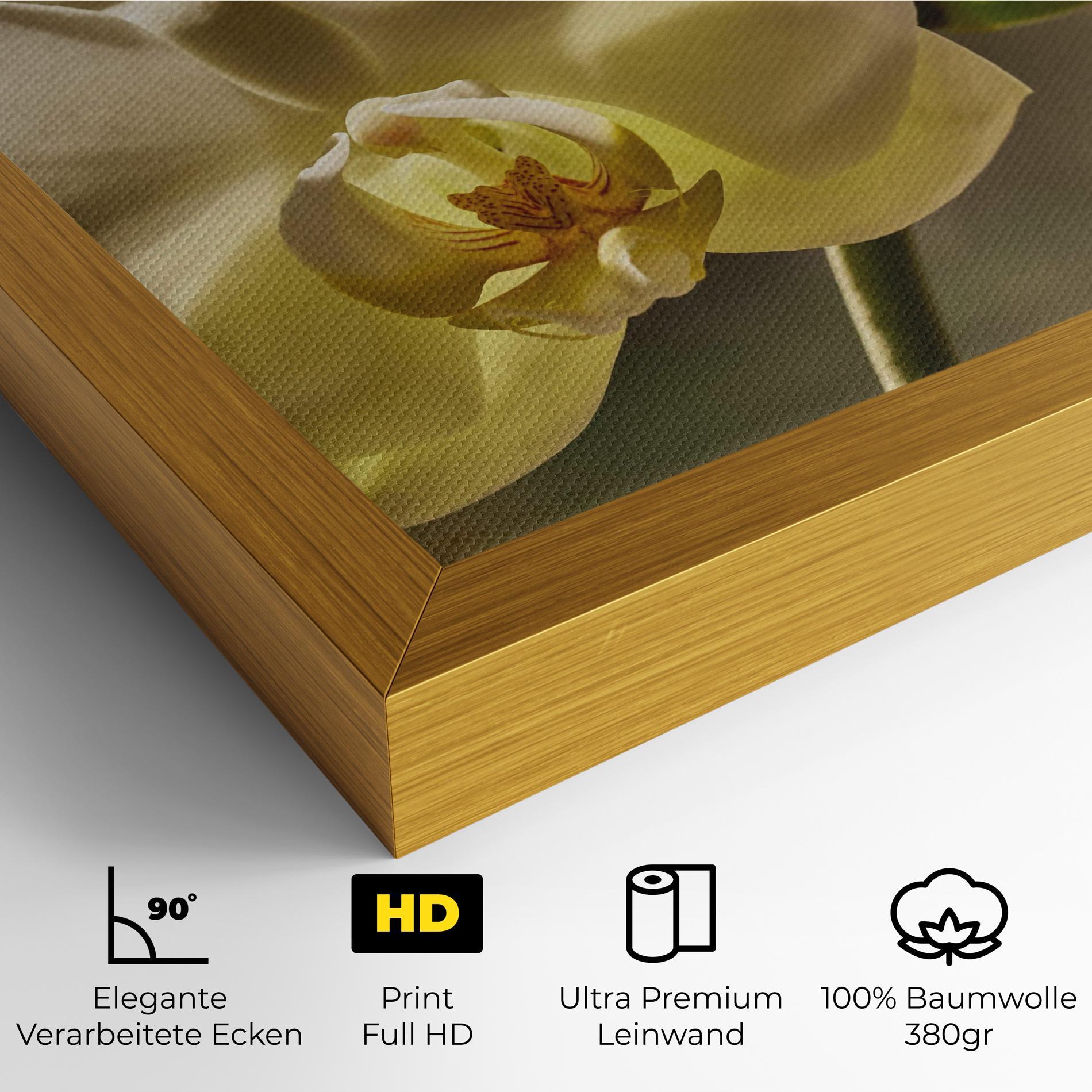 Leinwandbild Pastel Yellow Orchid In Garden mockup 4