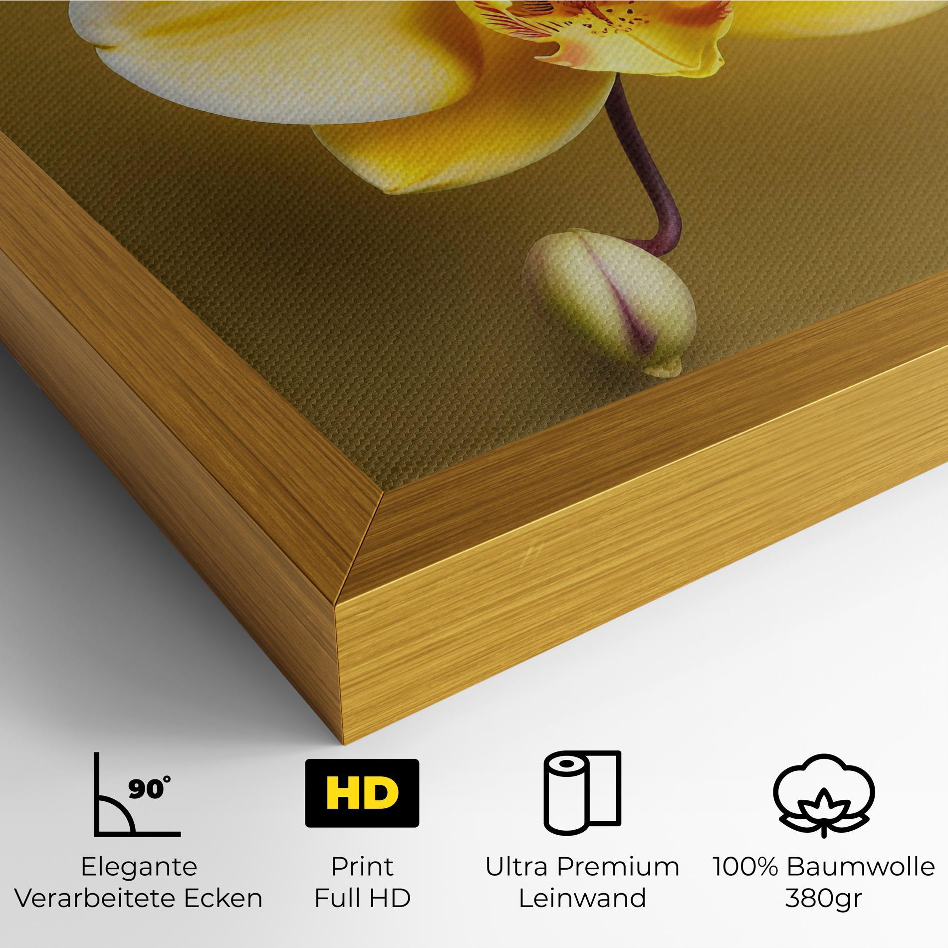 Leinwandbild Pastel Yellow Orchid mockup 4