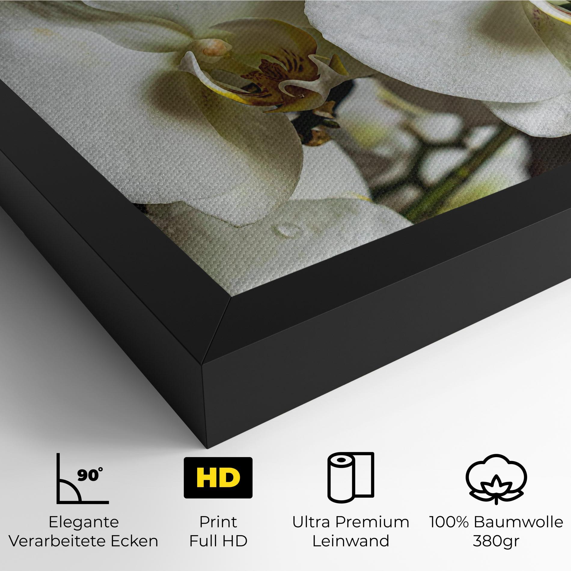 Leinwandbild Beautiful White Orchids mockup 4