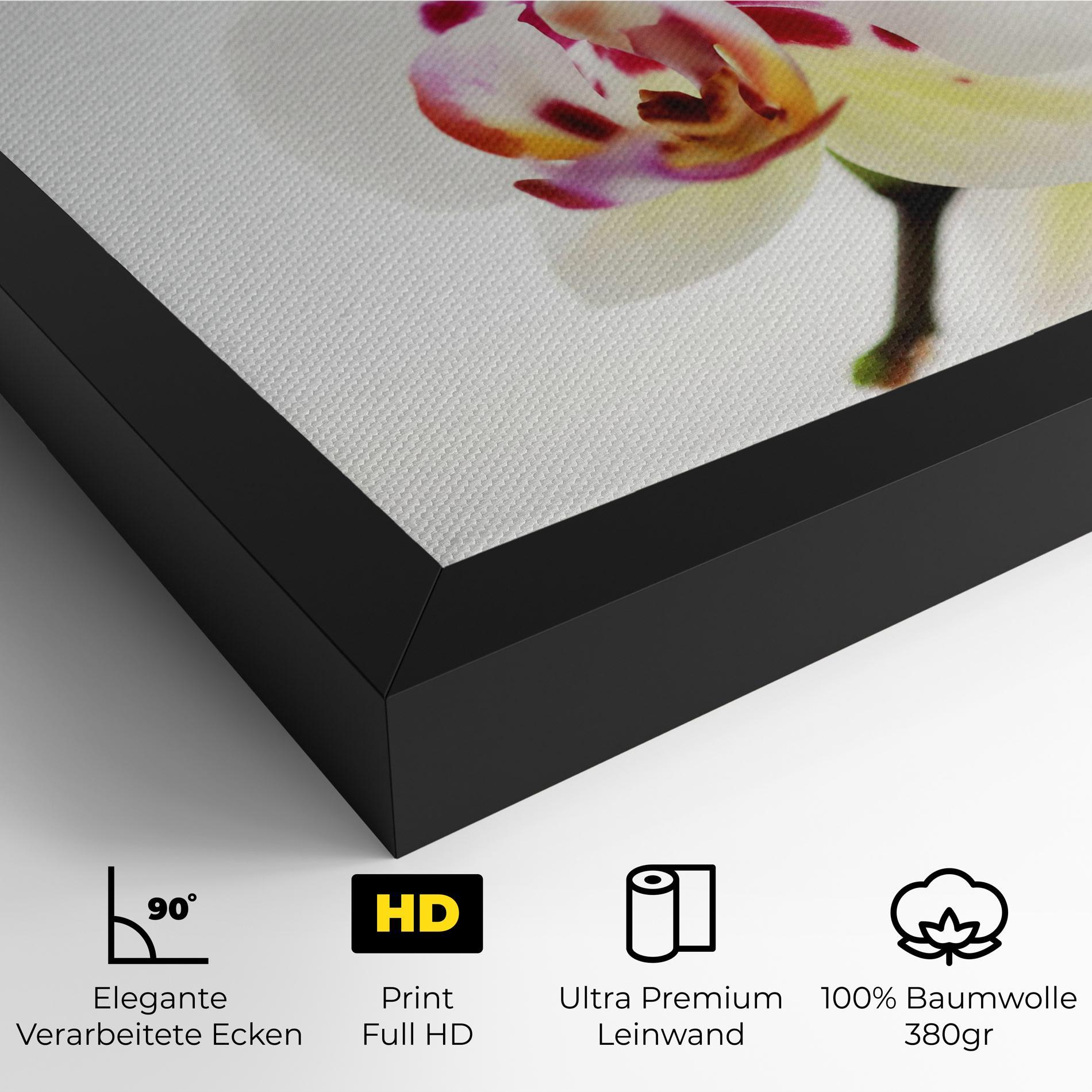 Leinwandbild Clean White Orchid mockup 4