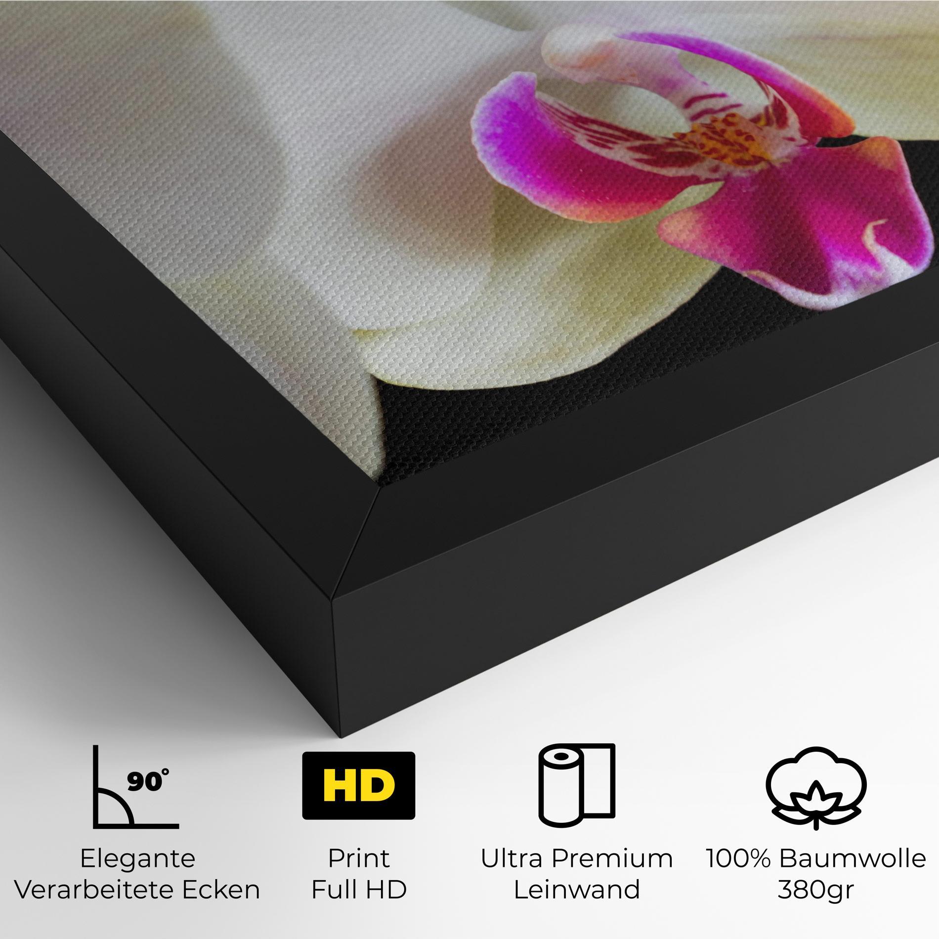 Leinwandbild Cream Purple Orchids mockup 4