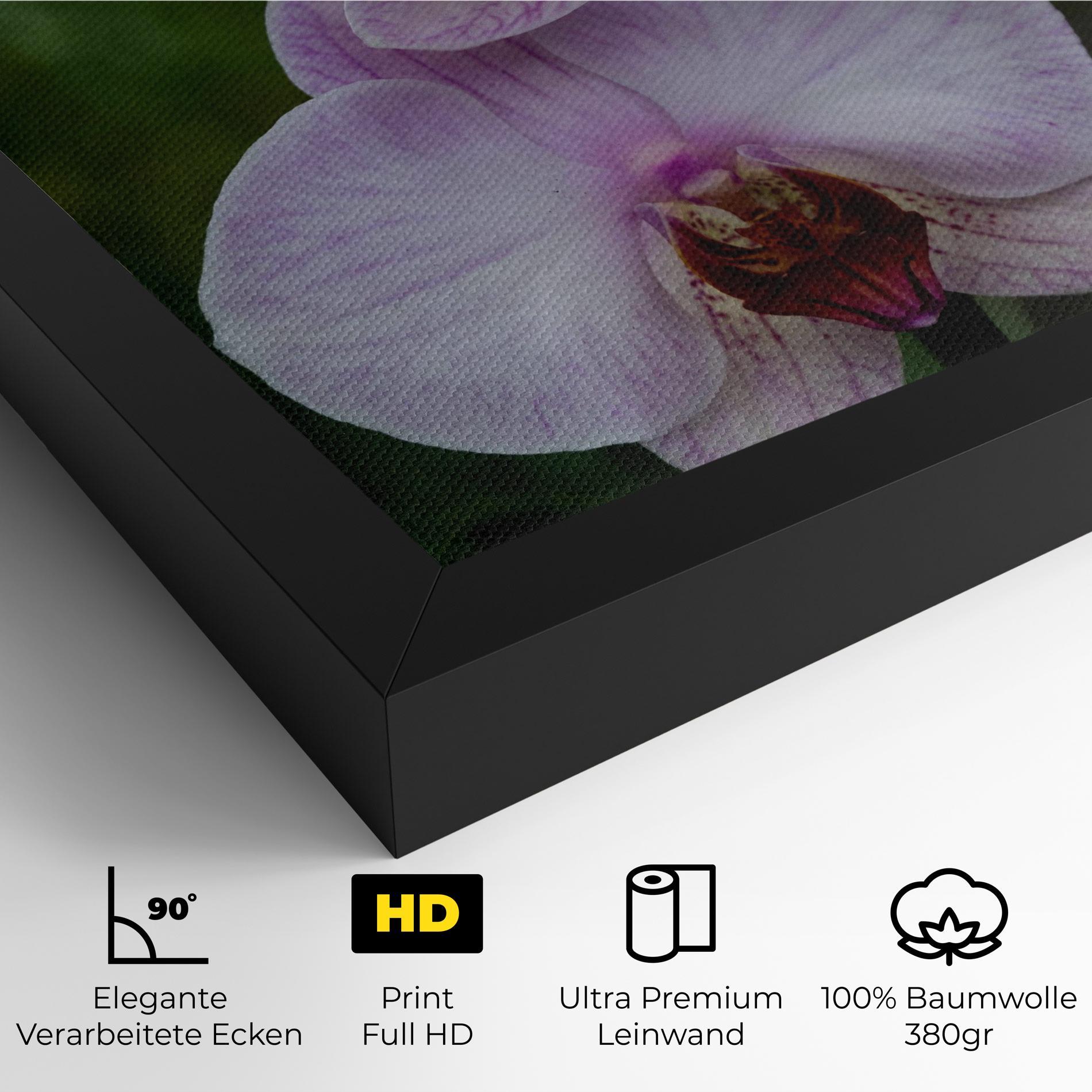 Leinwandbild Garden Light Purple Orchid mockup 4