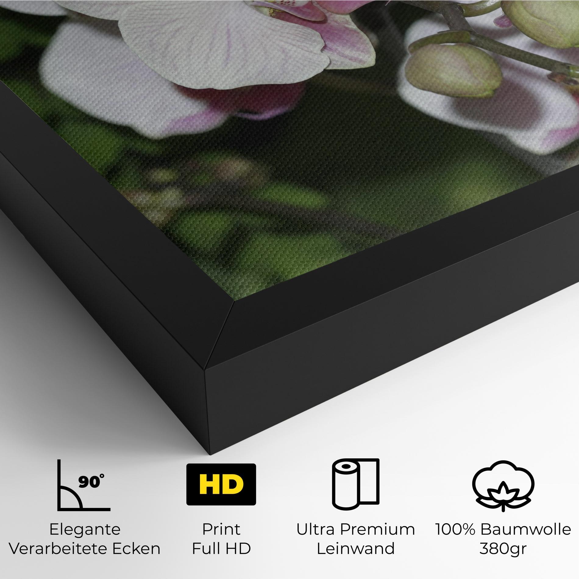 Leinwandbild Orchid Botanical Garden mockup 4