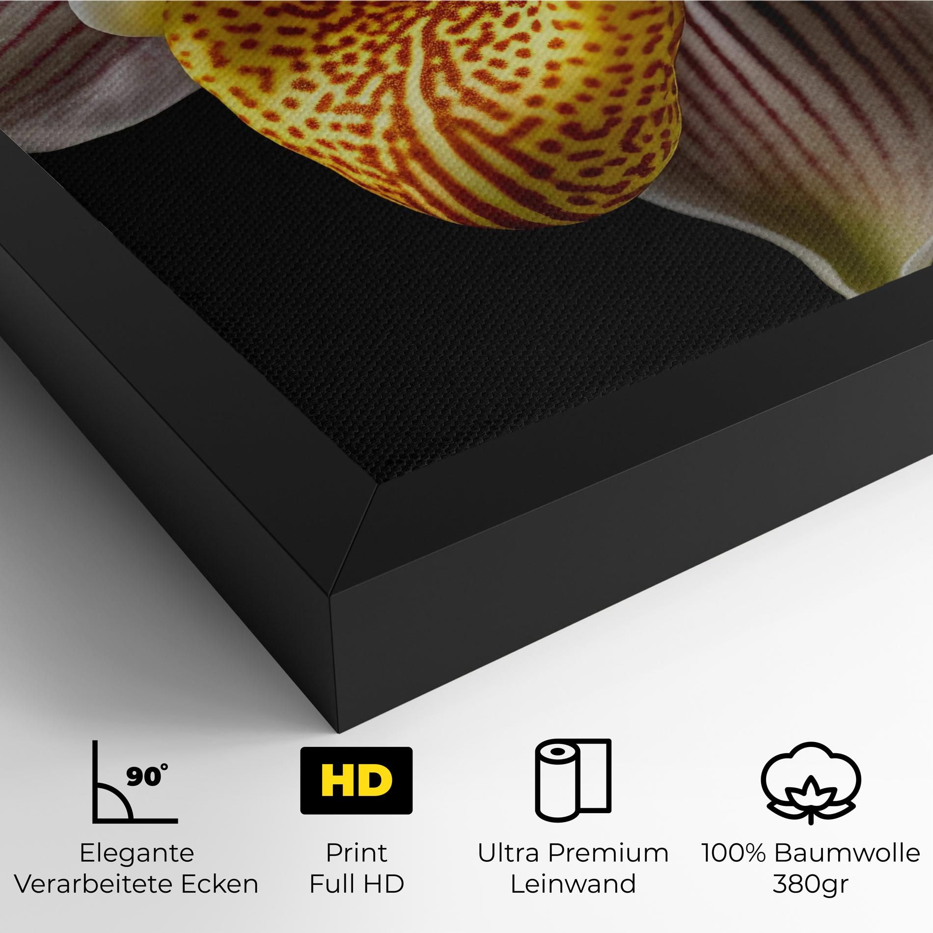 Orchid On Black mockup 4