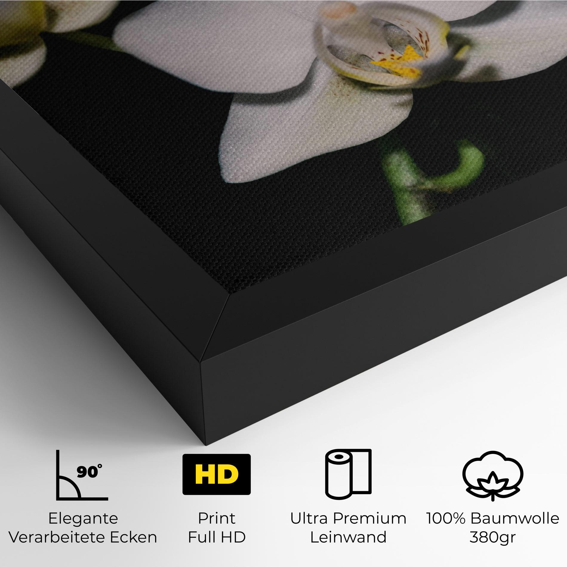 Leinwandbild Orchids On Black mockup 4
